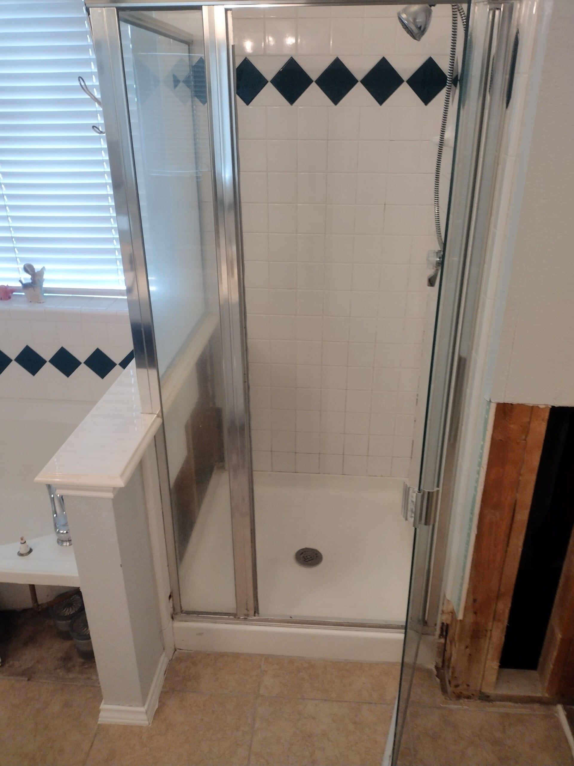 Before Bath Remodel