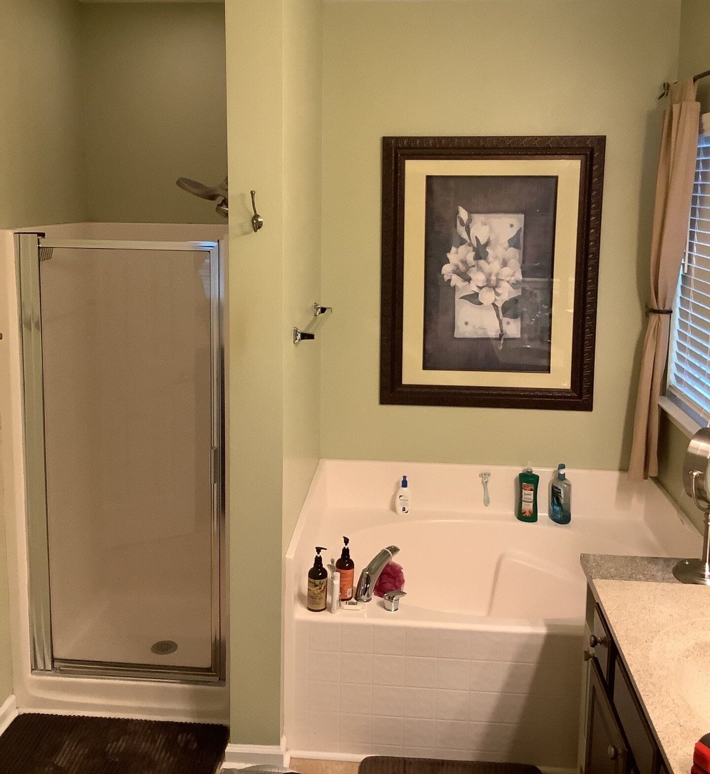 Before Bath Remodel