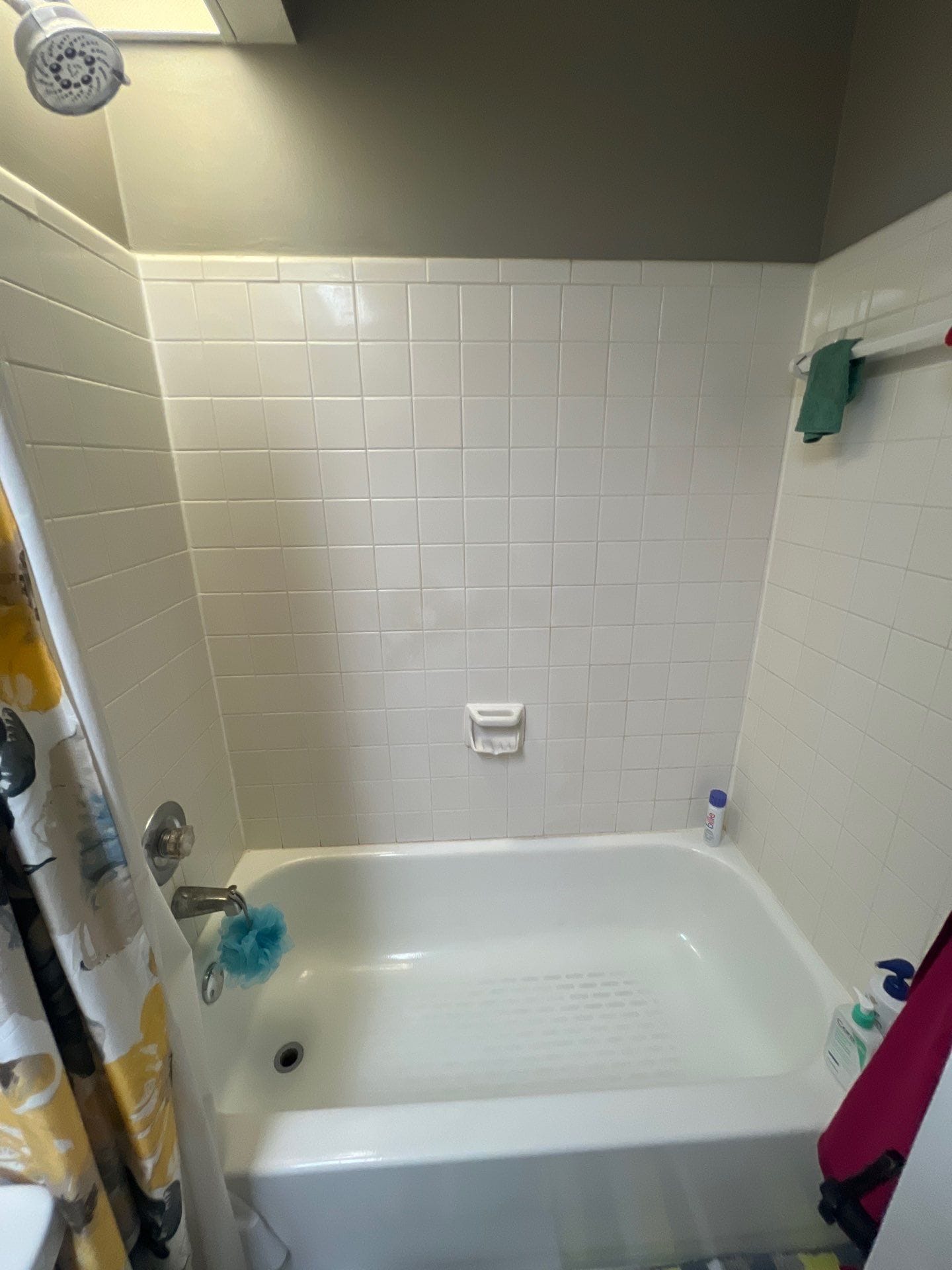 Before Bath Remodel