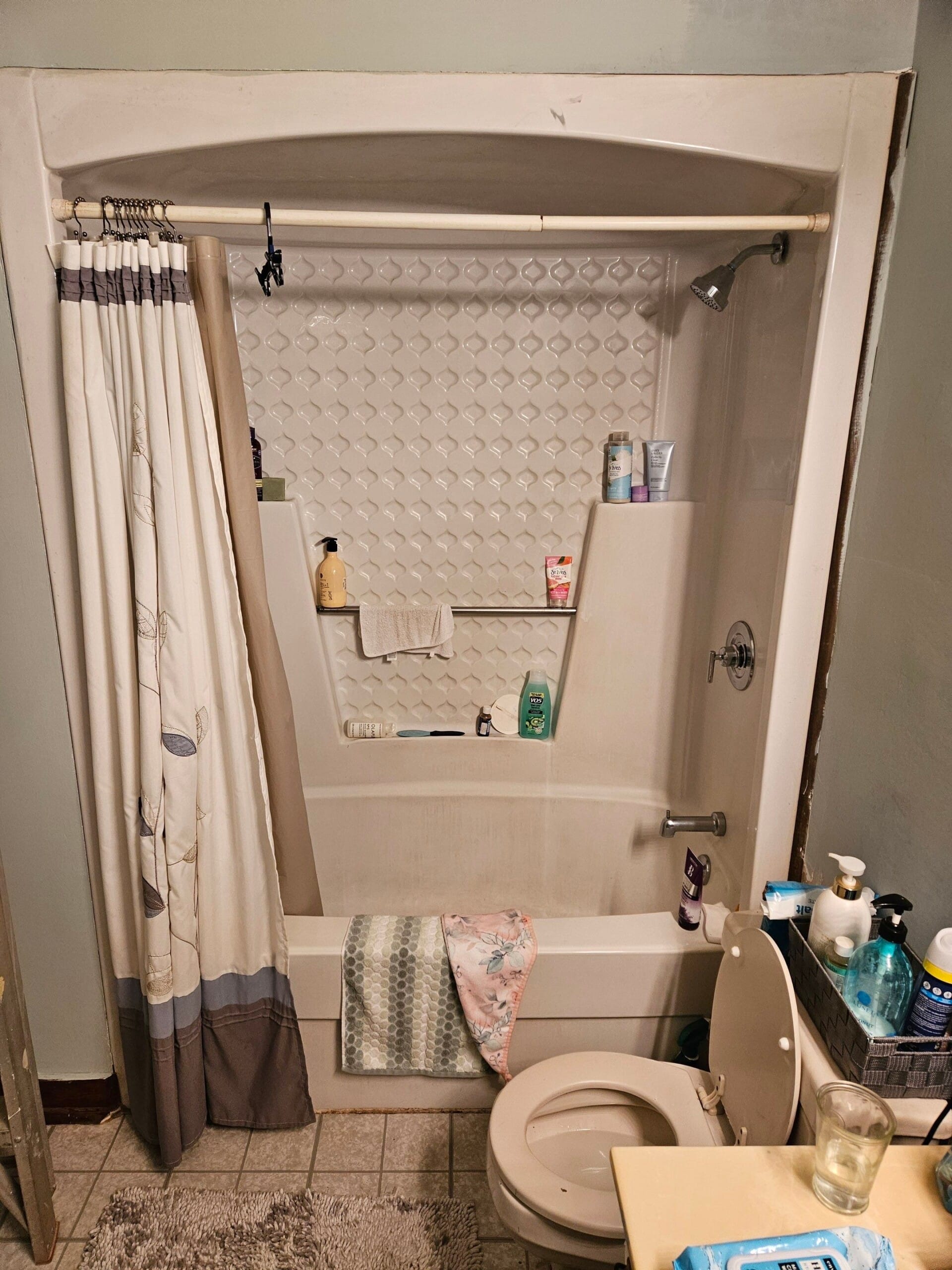 Before Bath Remodel