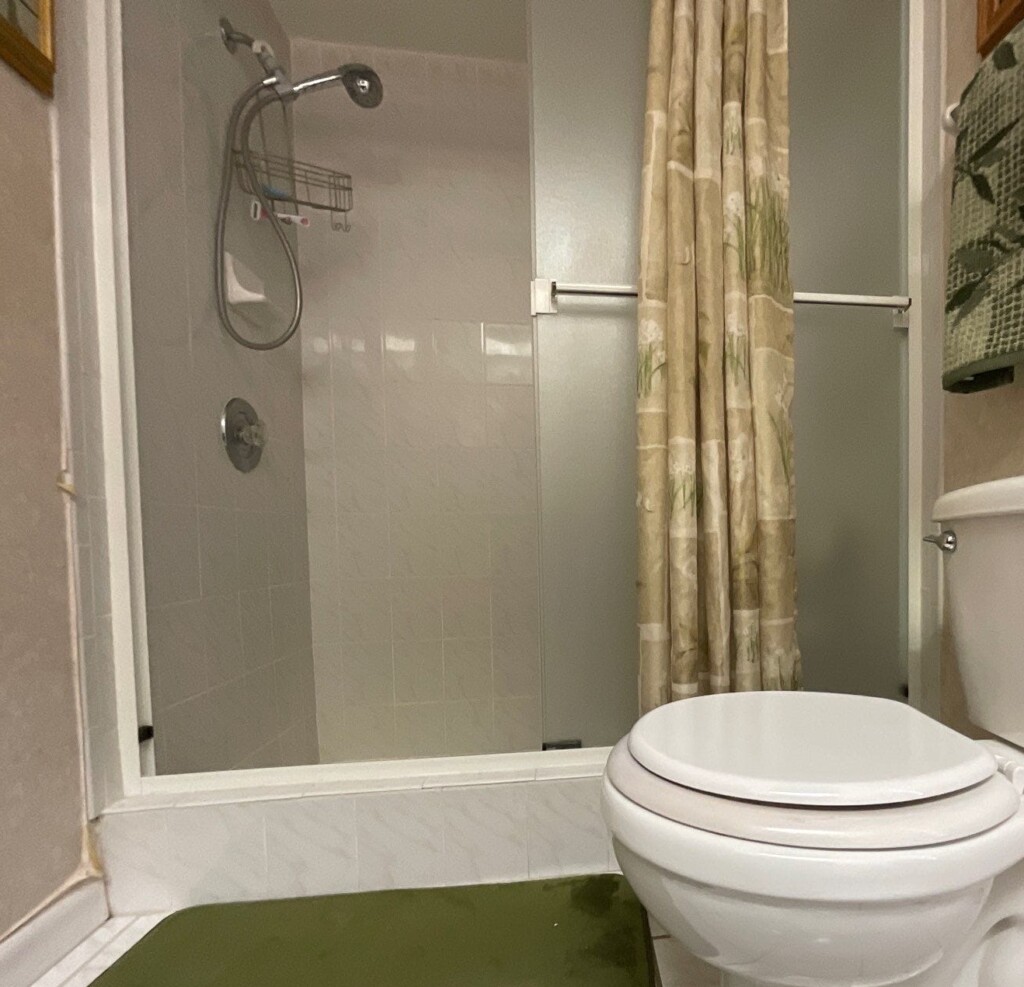Before - Bathroom Remodel, Maple Ridge Rd N, Palm Harbor, FL 34683