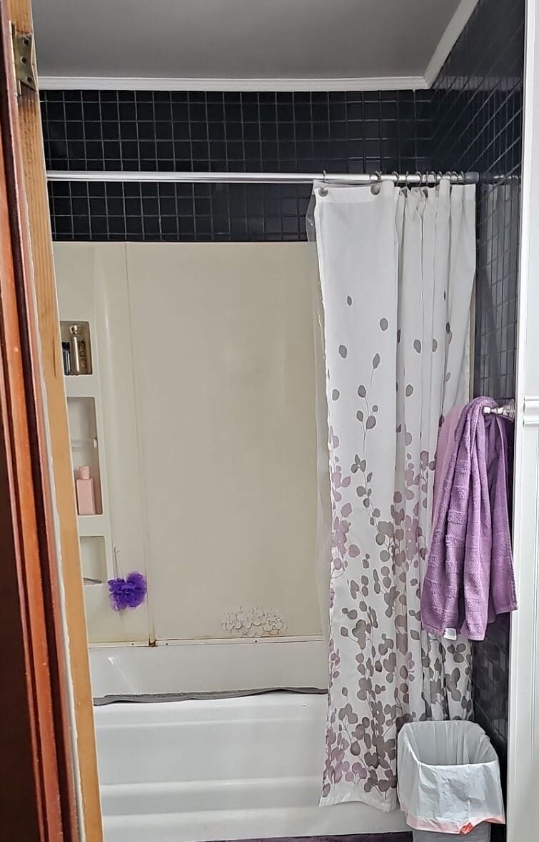 Before Bath Remodel