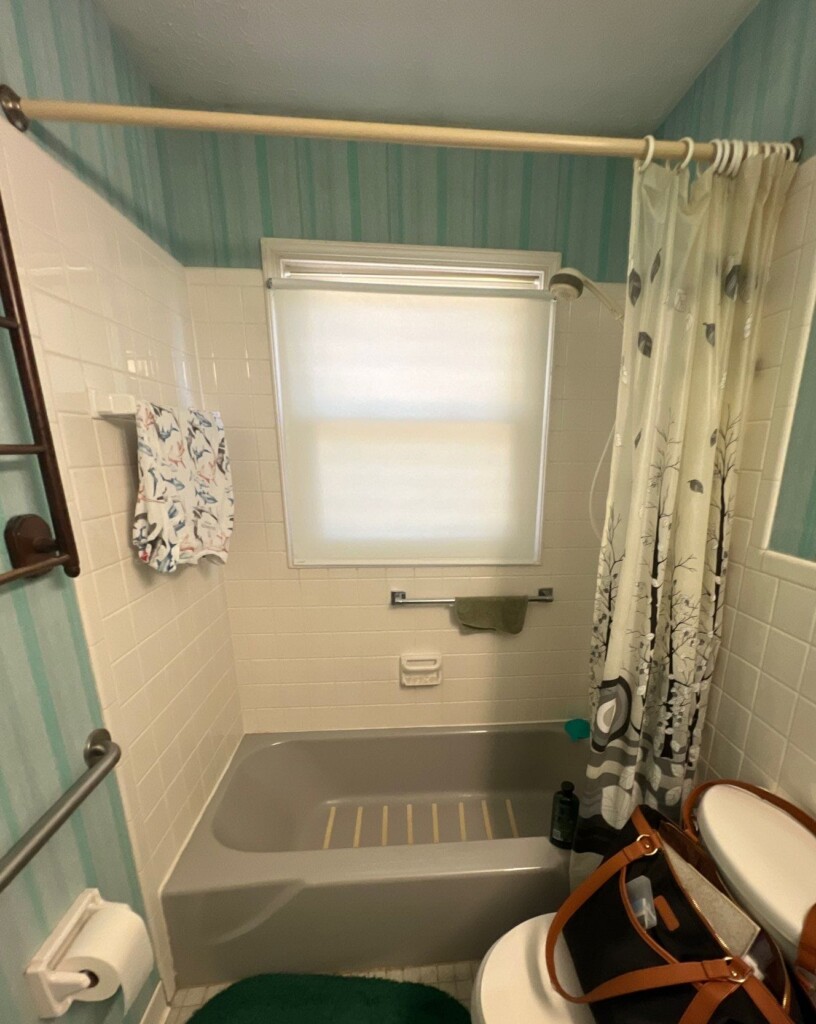 Before - Bath & Shower Combo, Saint Johns St, Arden, NC 28704