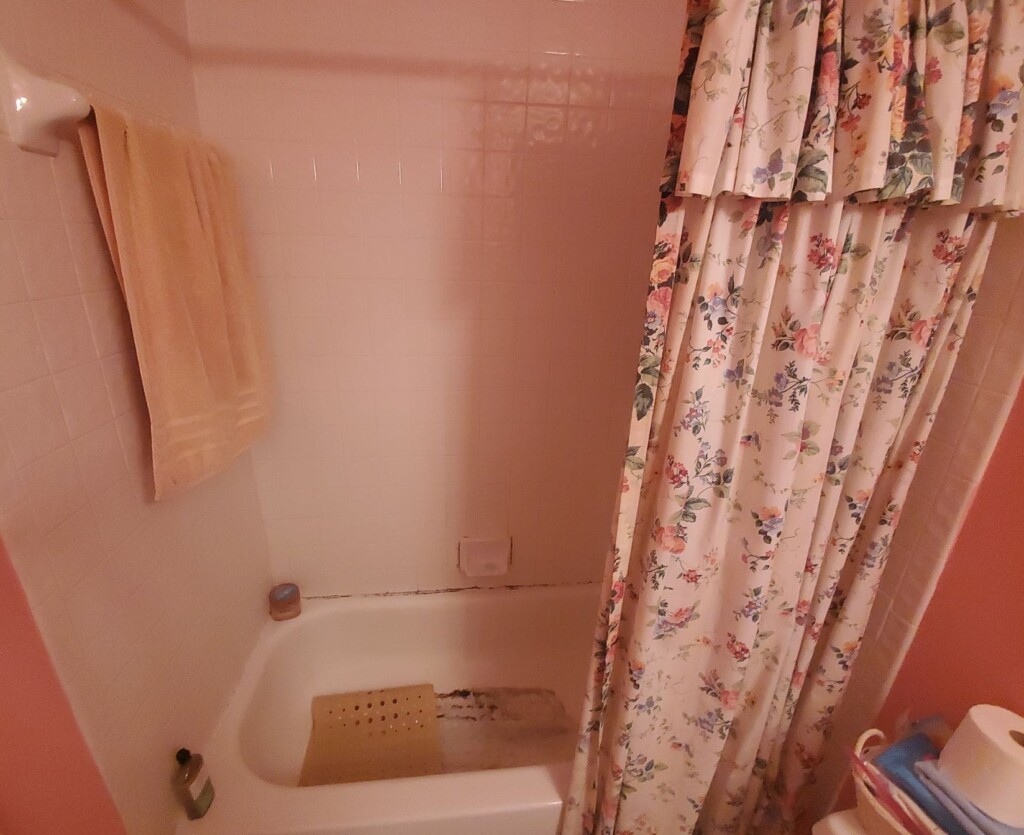 Before - Bathroom Remodel, Decatur Ave, Ventura, CA 93004