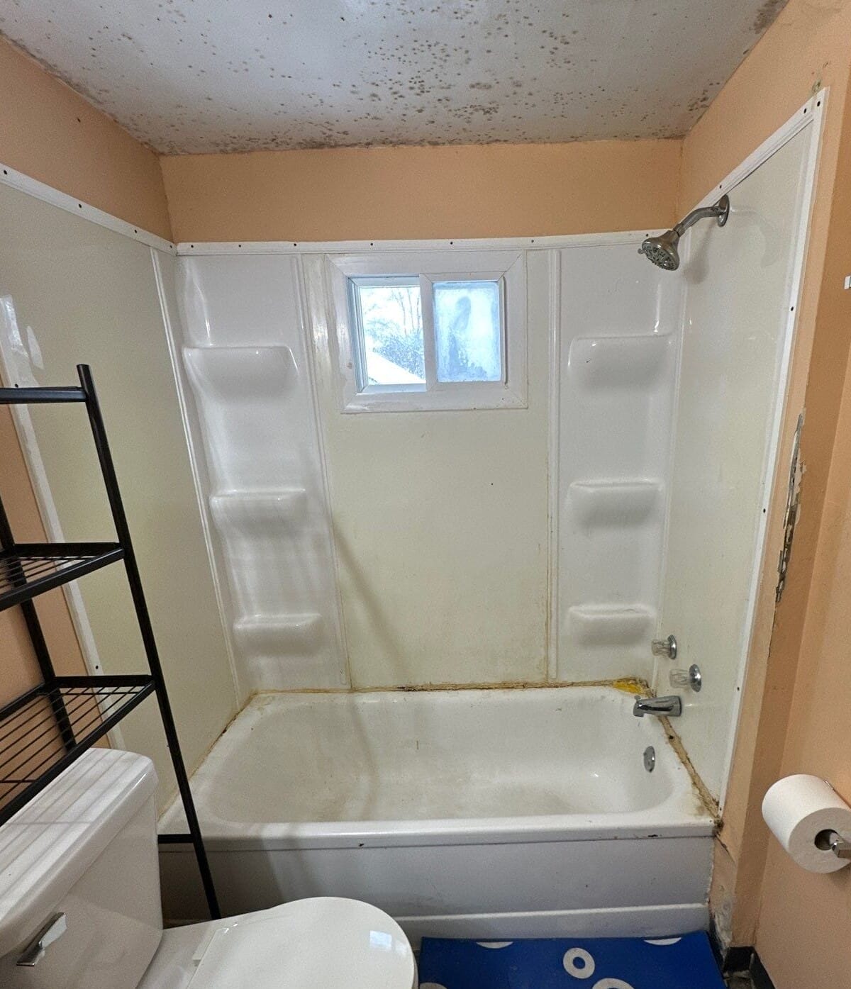 Before Bath Remodel