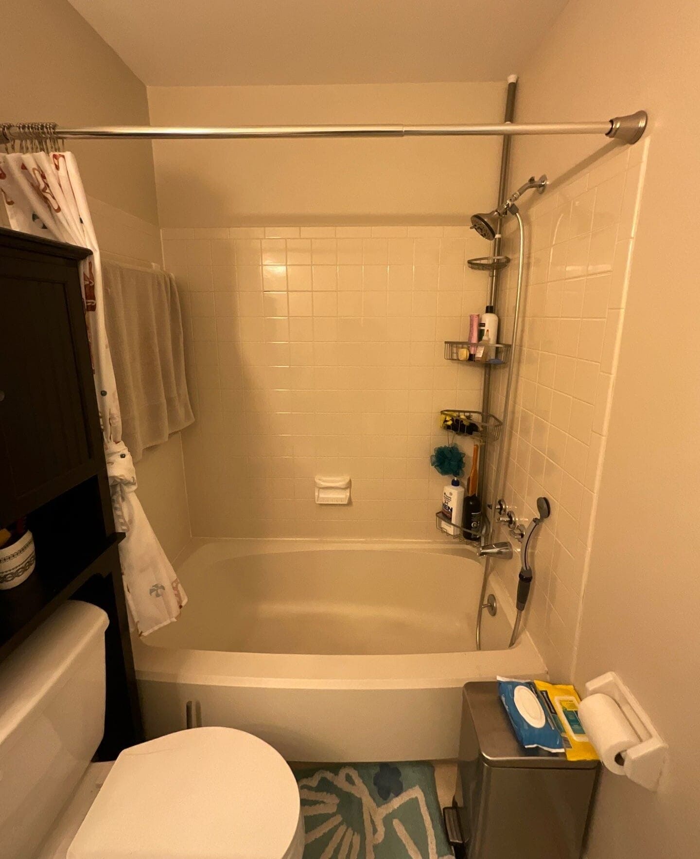 Before Bath Remodel