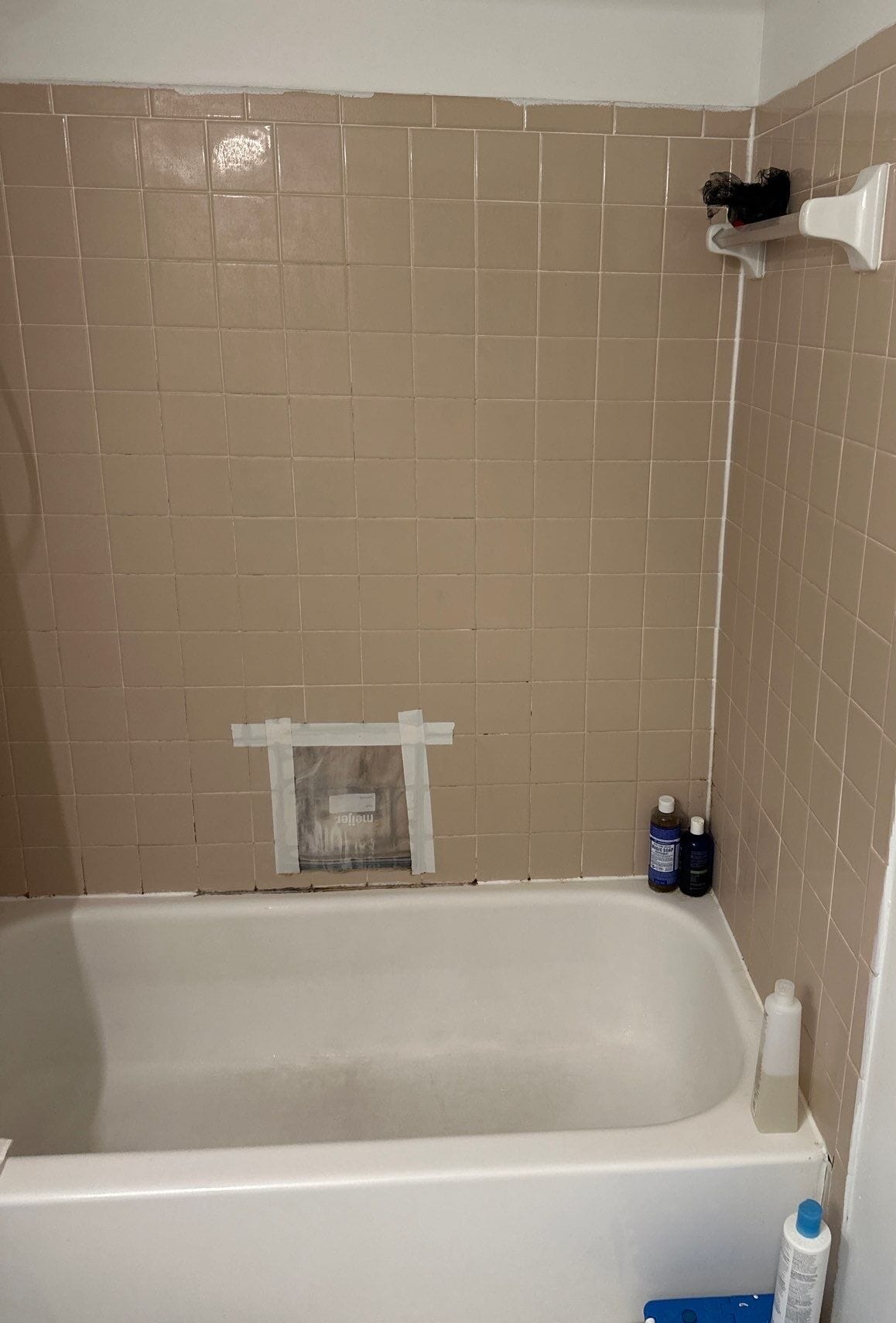 Before Bath Remodel