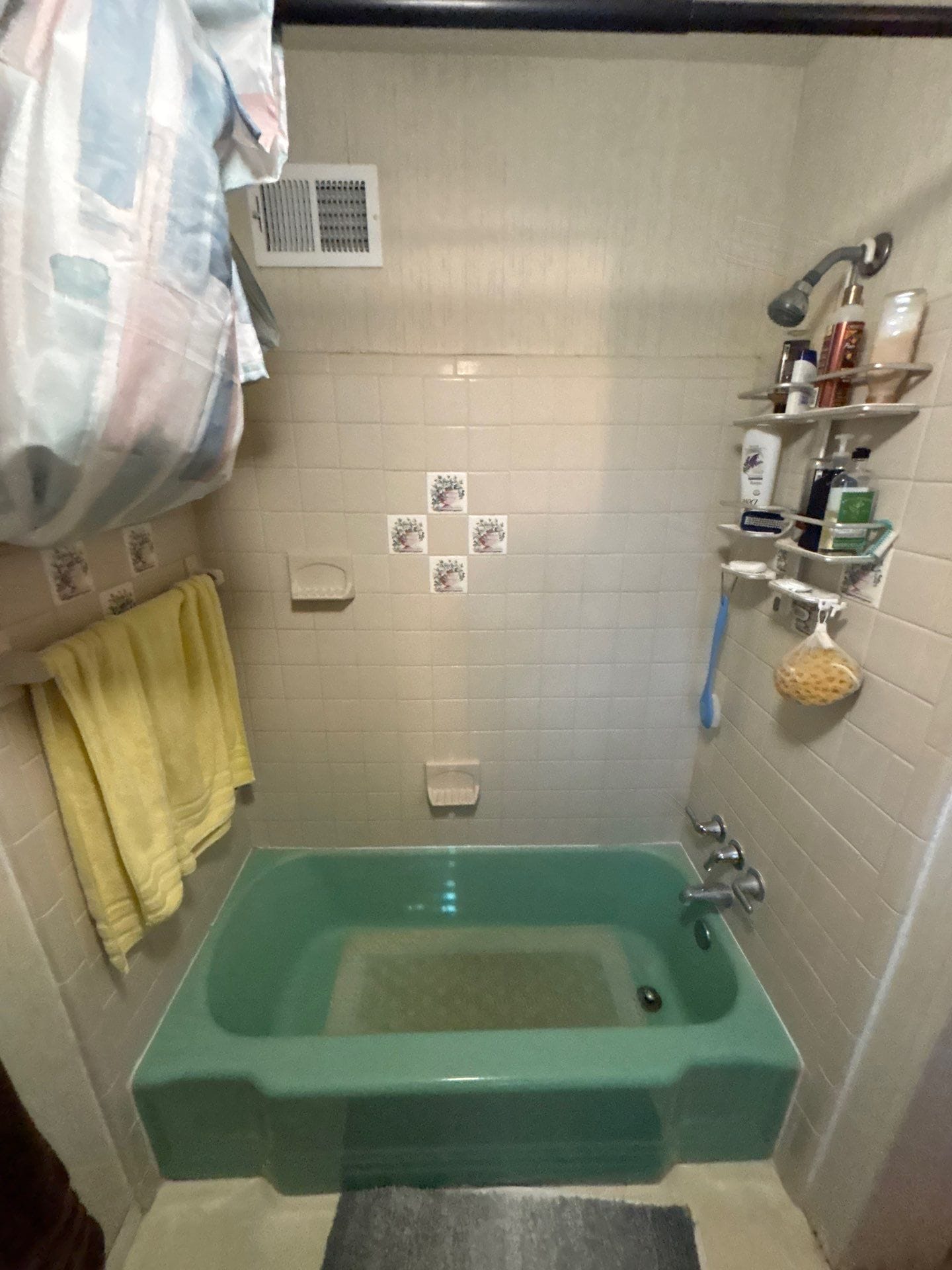 Before Bath Remodel