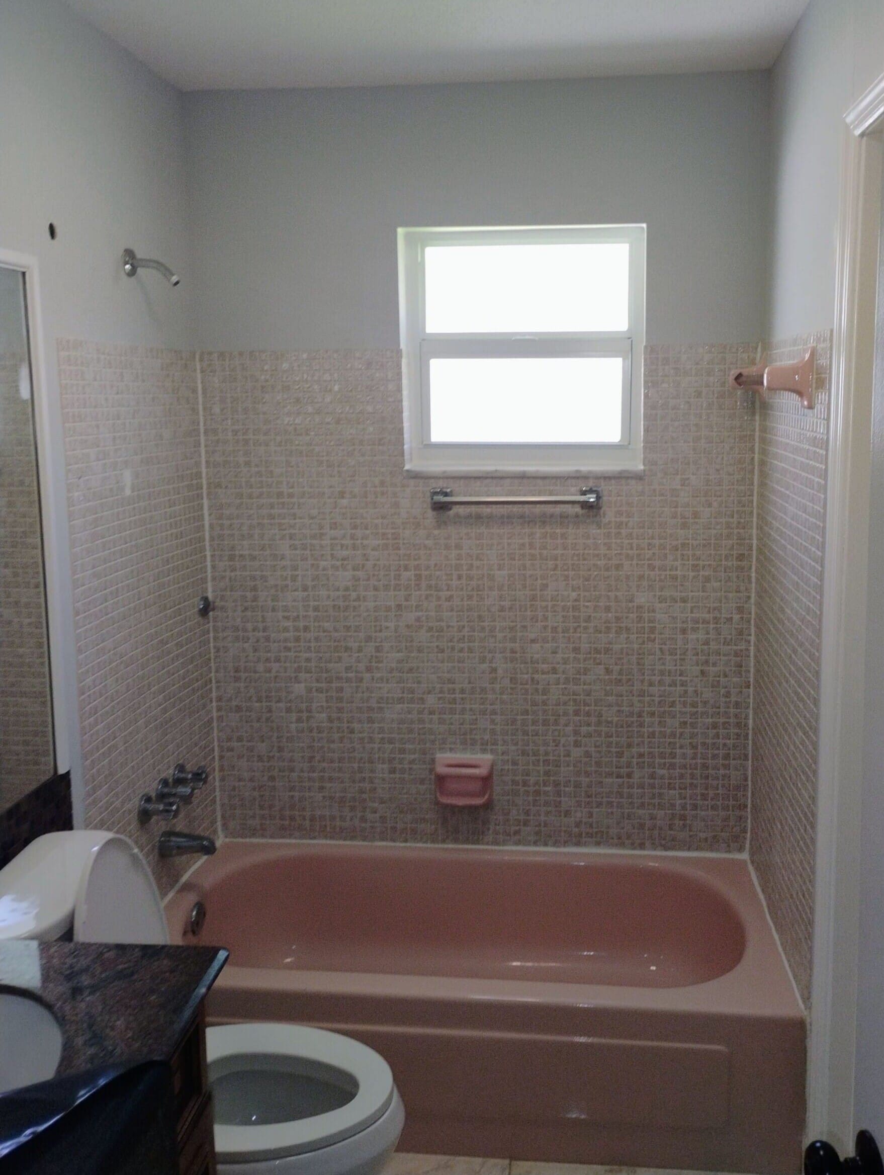 Before Bath Remodel