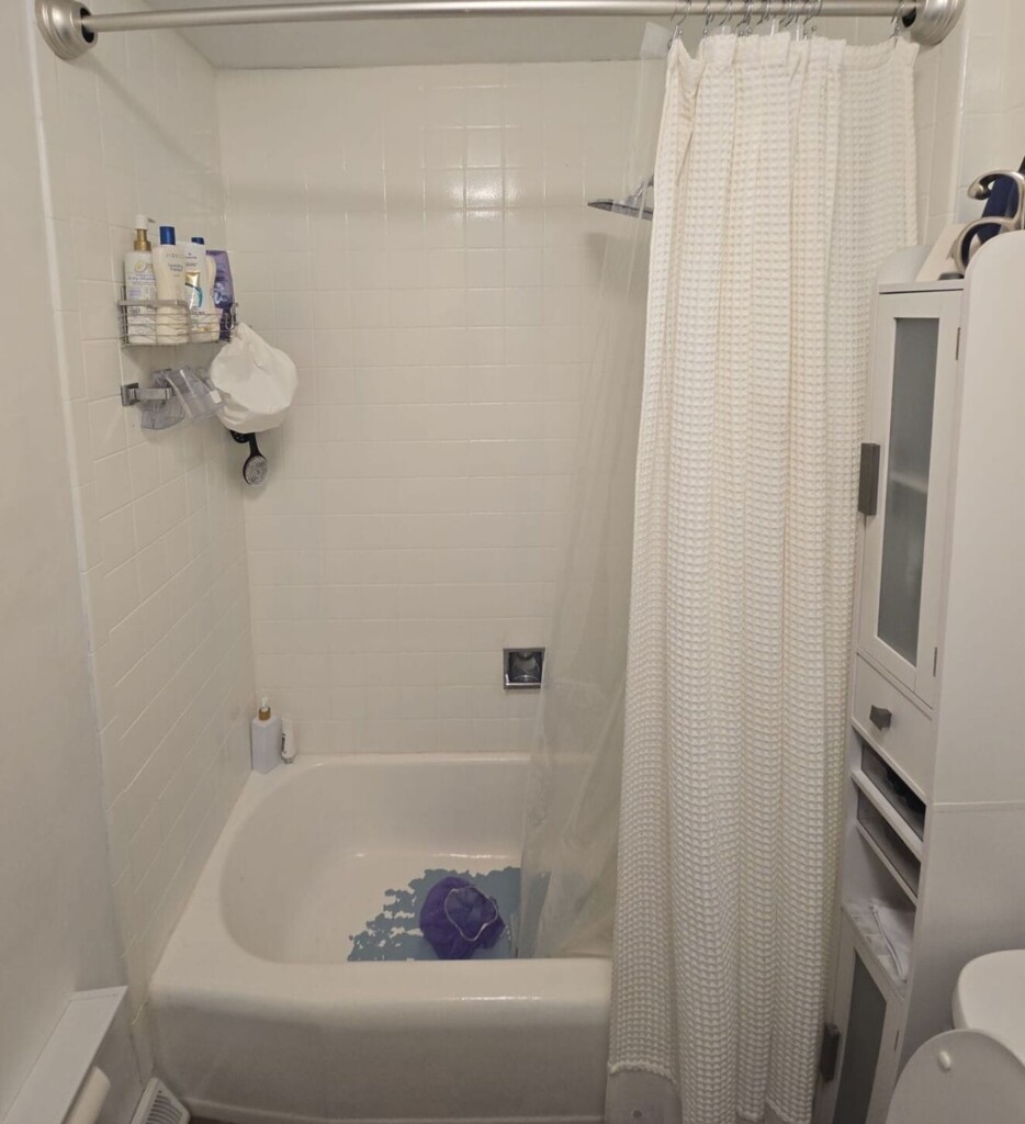 Before - Tub To Shower Conversion, Happy Court, Ballwin, MO 63011