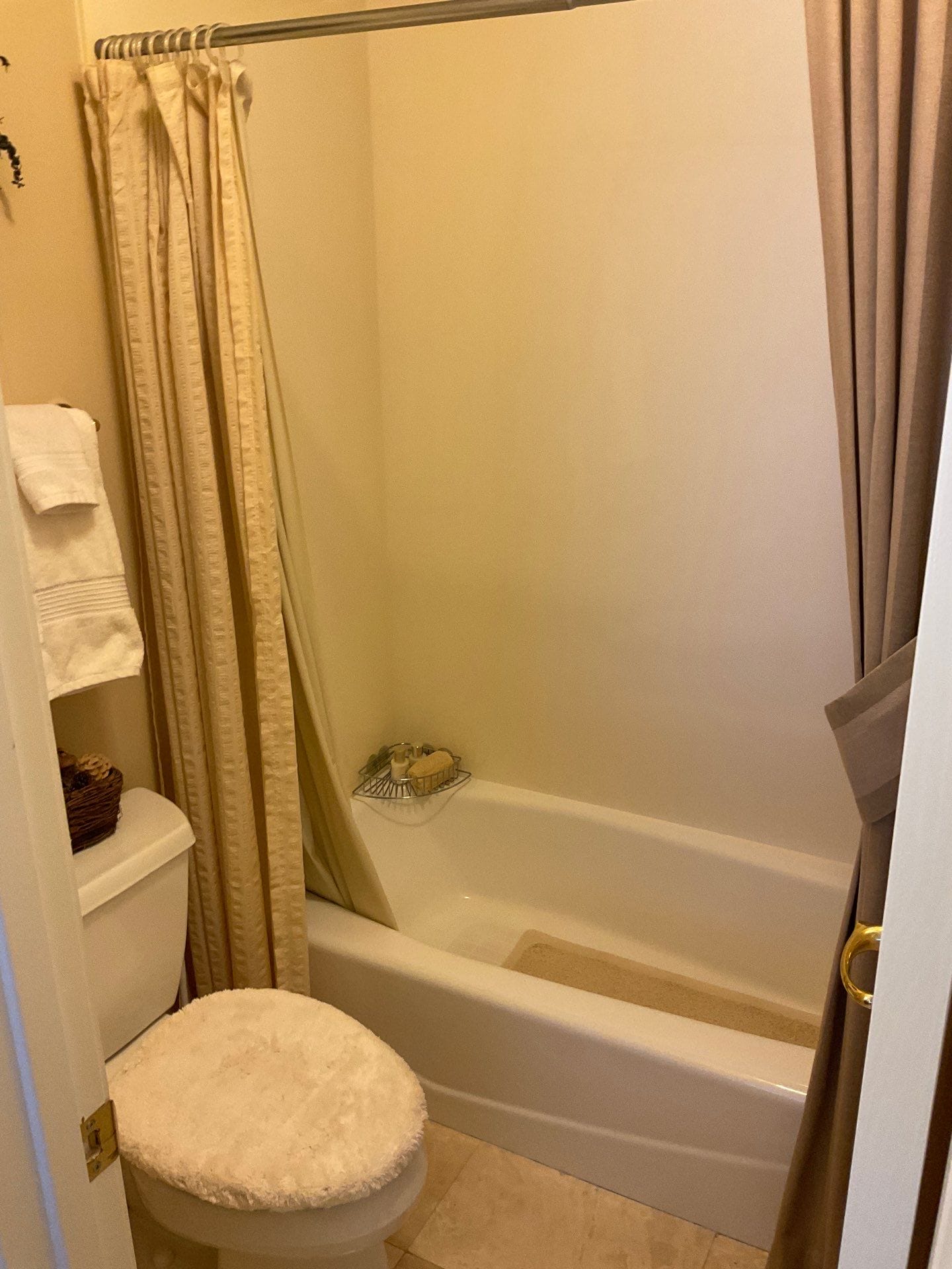 Before Bath Remodel