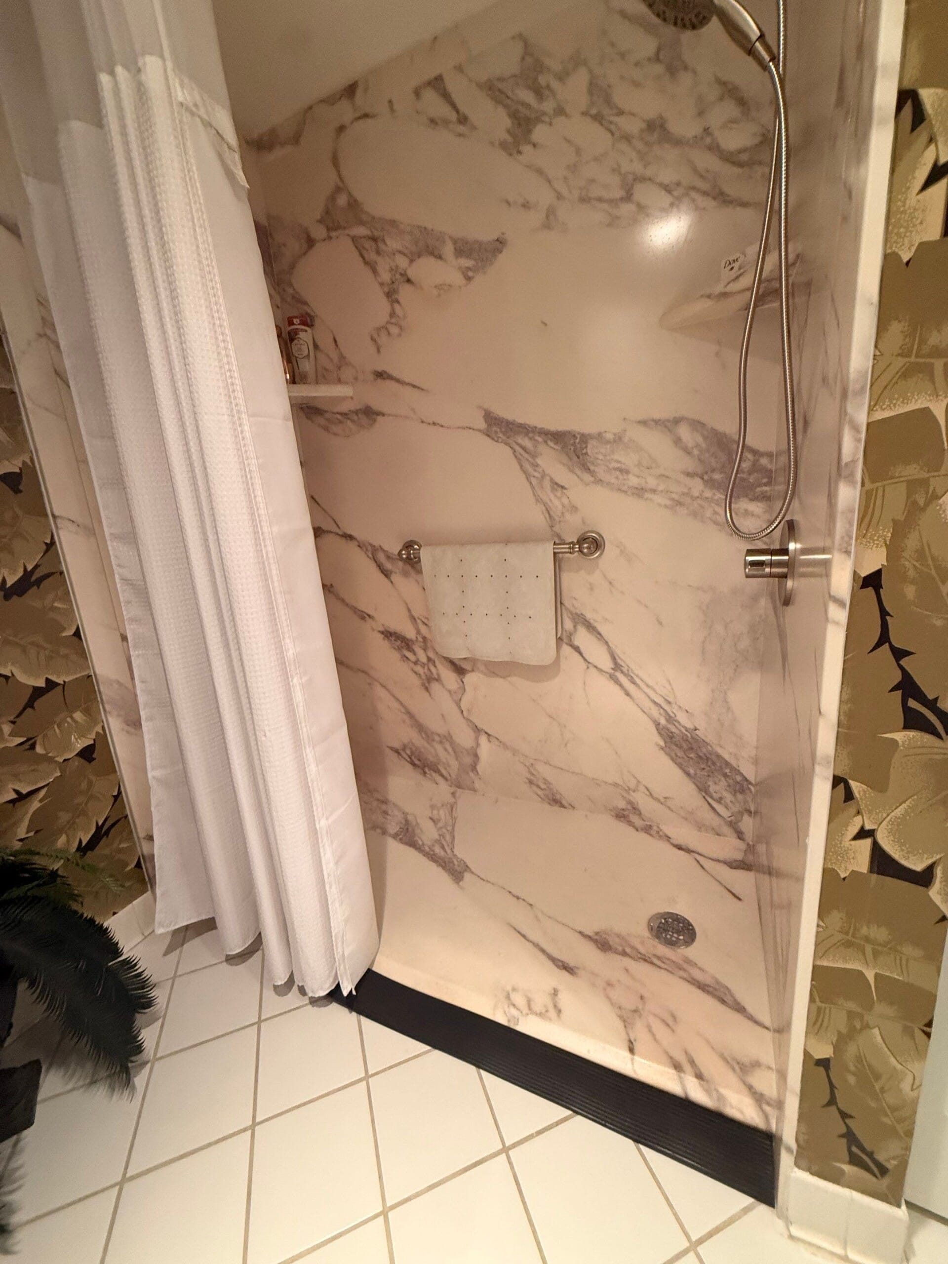 Tub To Shower Conversion, Bacopa Lane, South Unit, 101A, Saint Petersburg, FL 33715