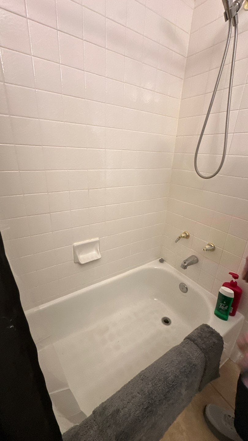 Before Bath Remodel