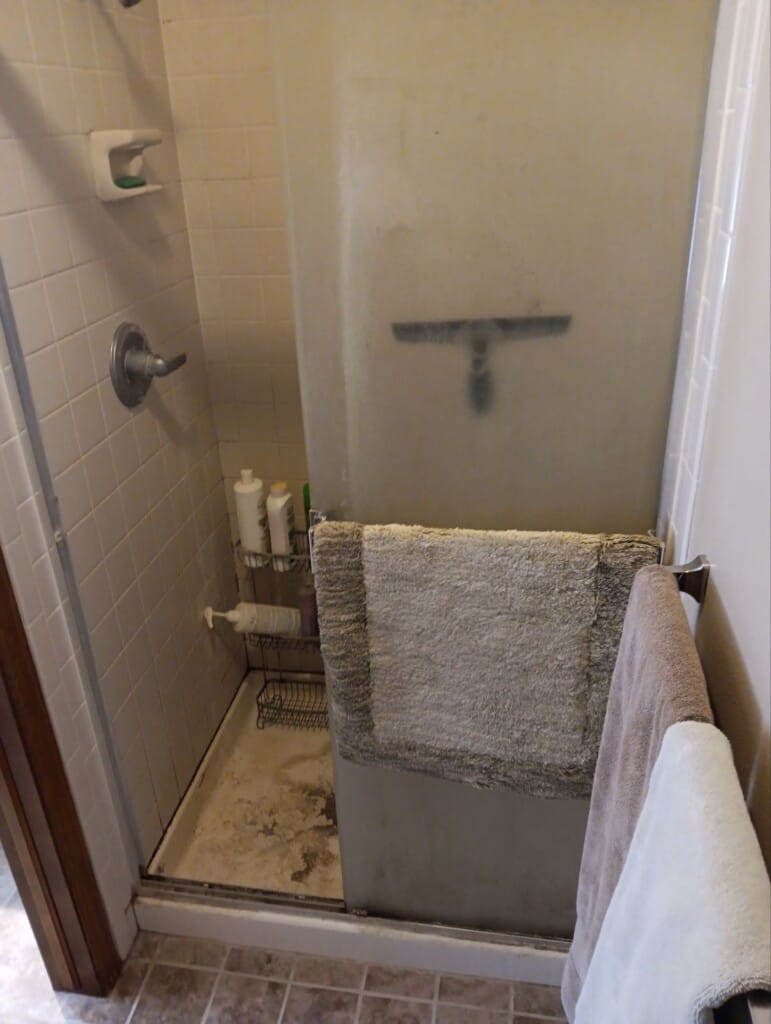 Before - Shower Remodel, S Emerson Ct, Centennial, CO 80122