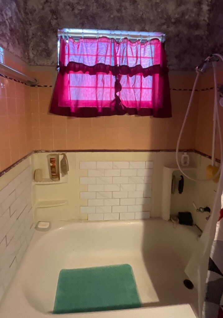 Before - Tub To Shower Conversion, Avenue South, St. Petersburg, FL 33606