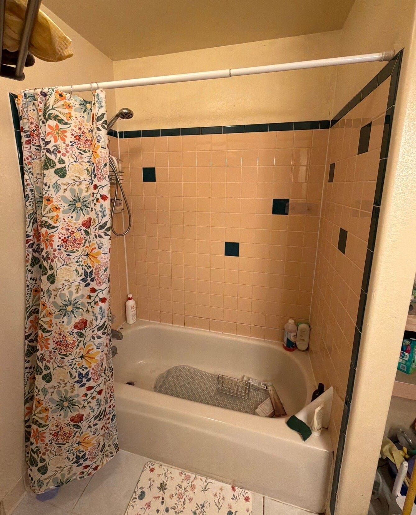Before Bath Remodel