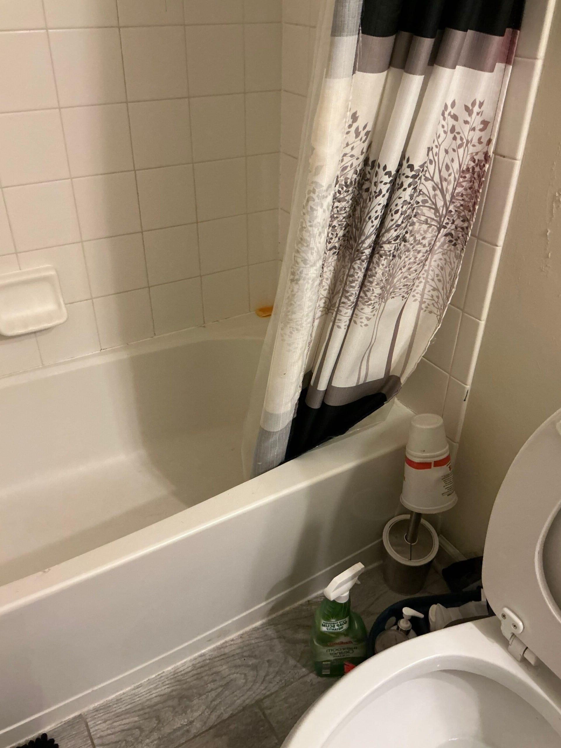 Before Bath Remodel