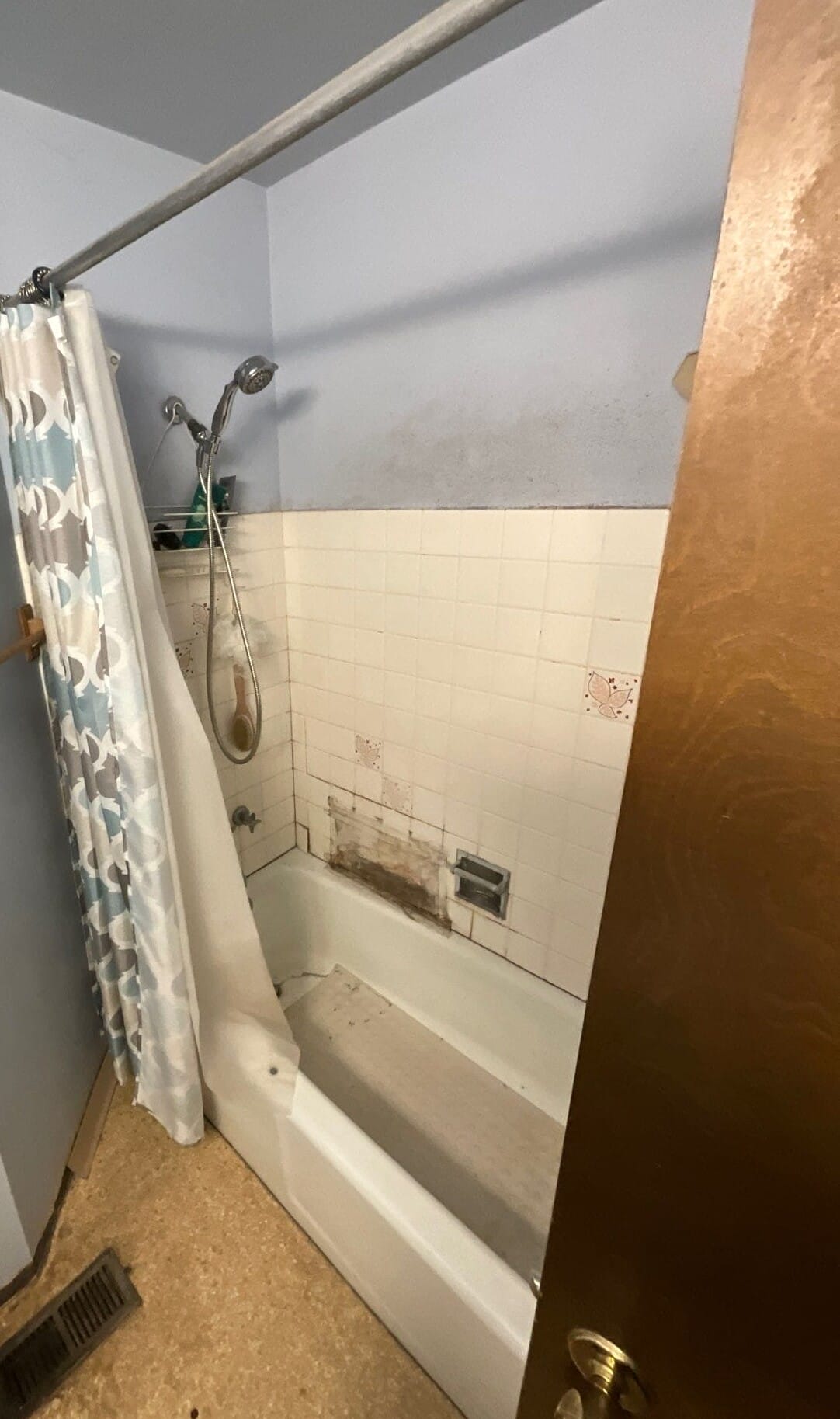 Before Bath Remodel