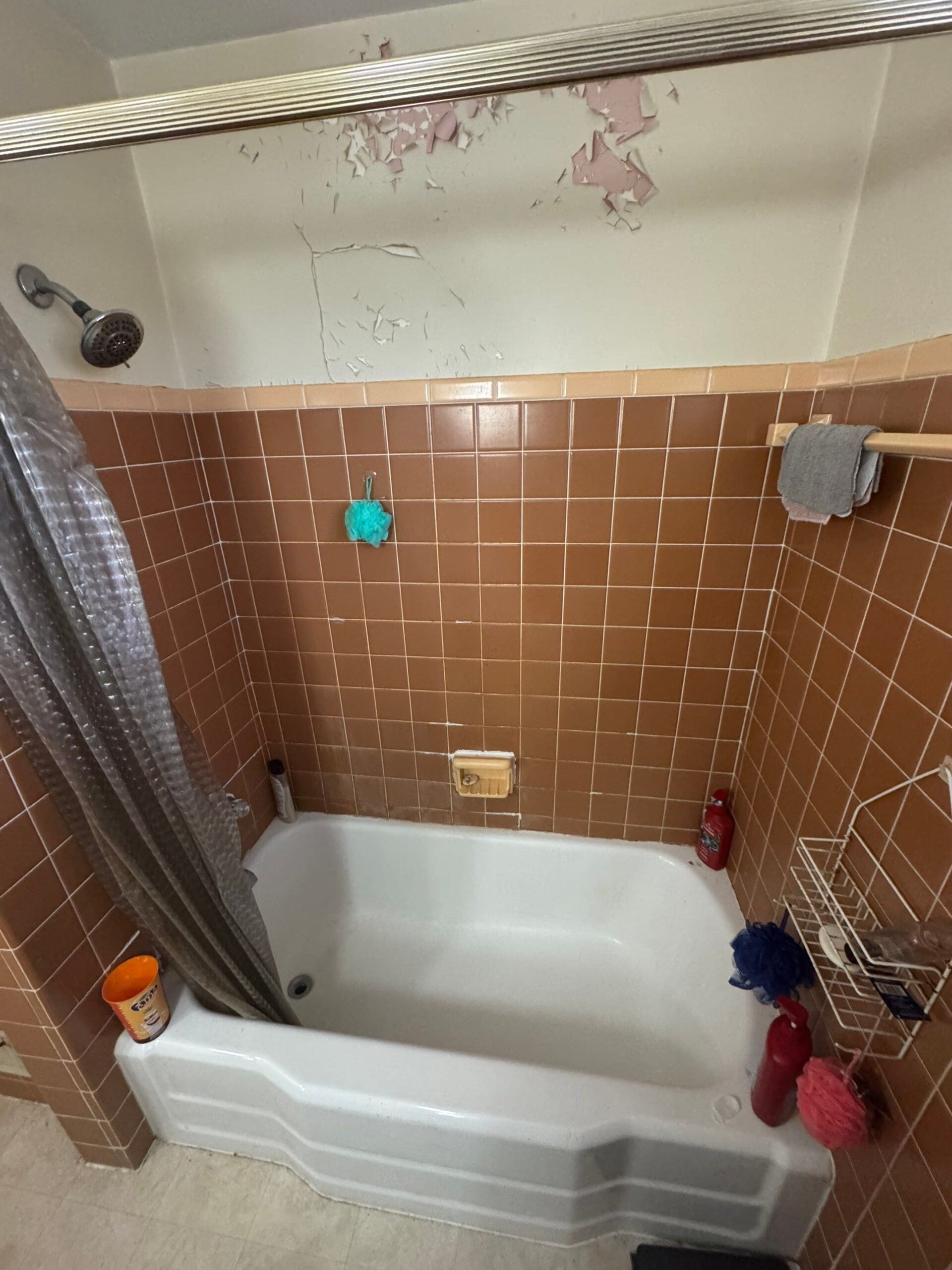 Before Bath Remodel