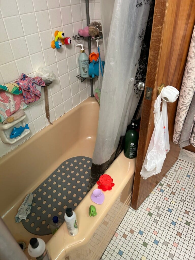 Before - Tub To Shower Conversion, Dexter Ann Arbor Rd, Ann Arbor, MI 48103