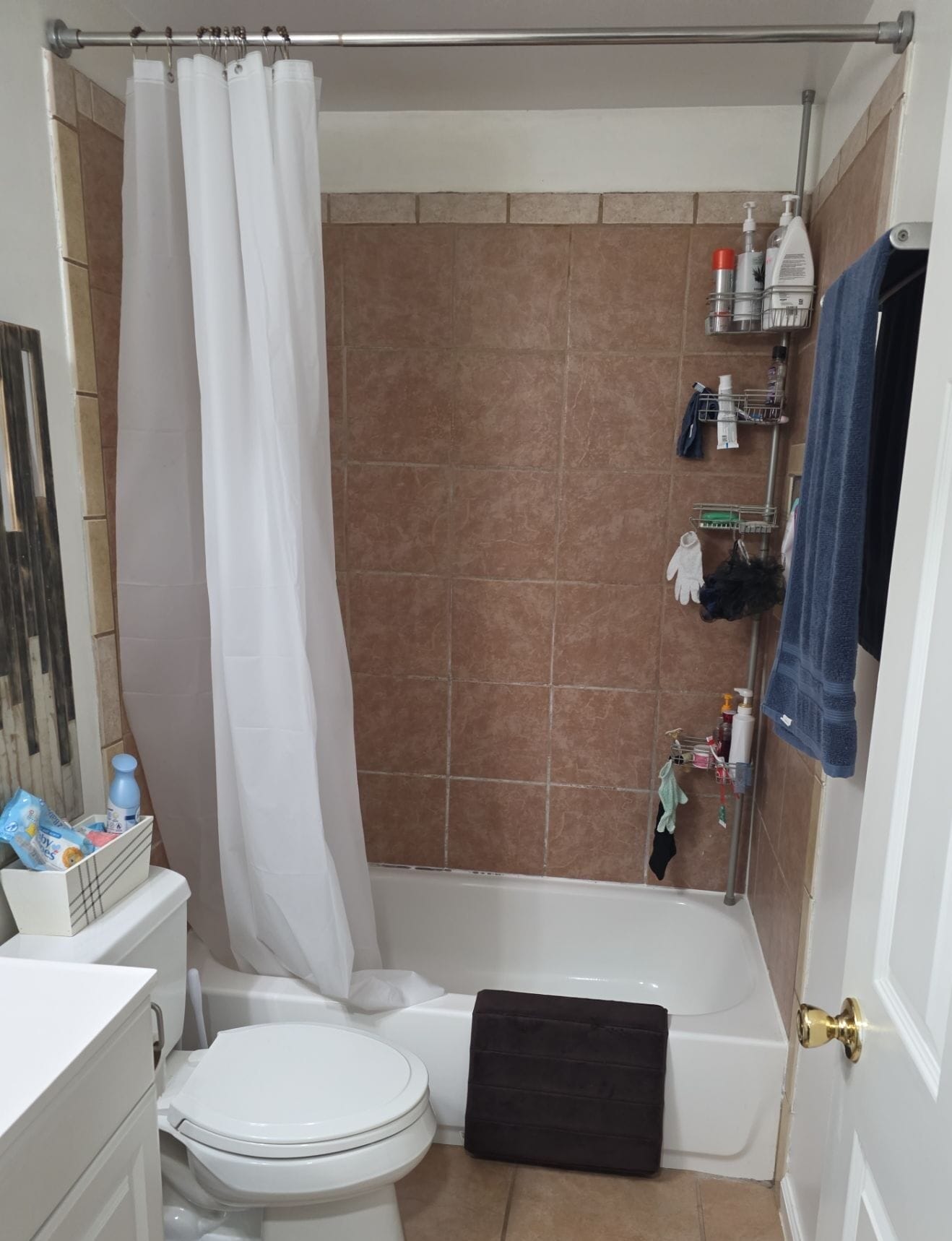 Before Bath Remodel