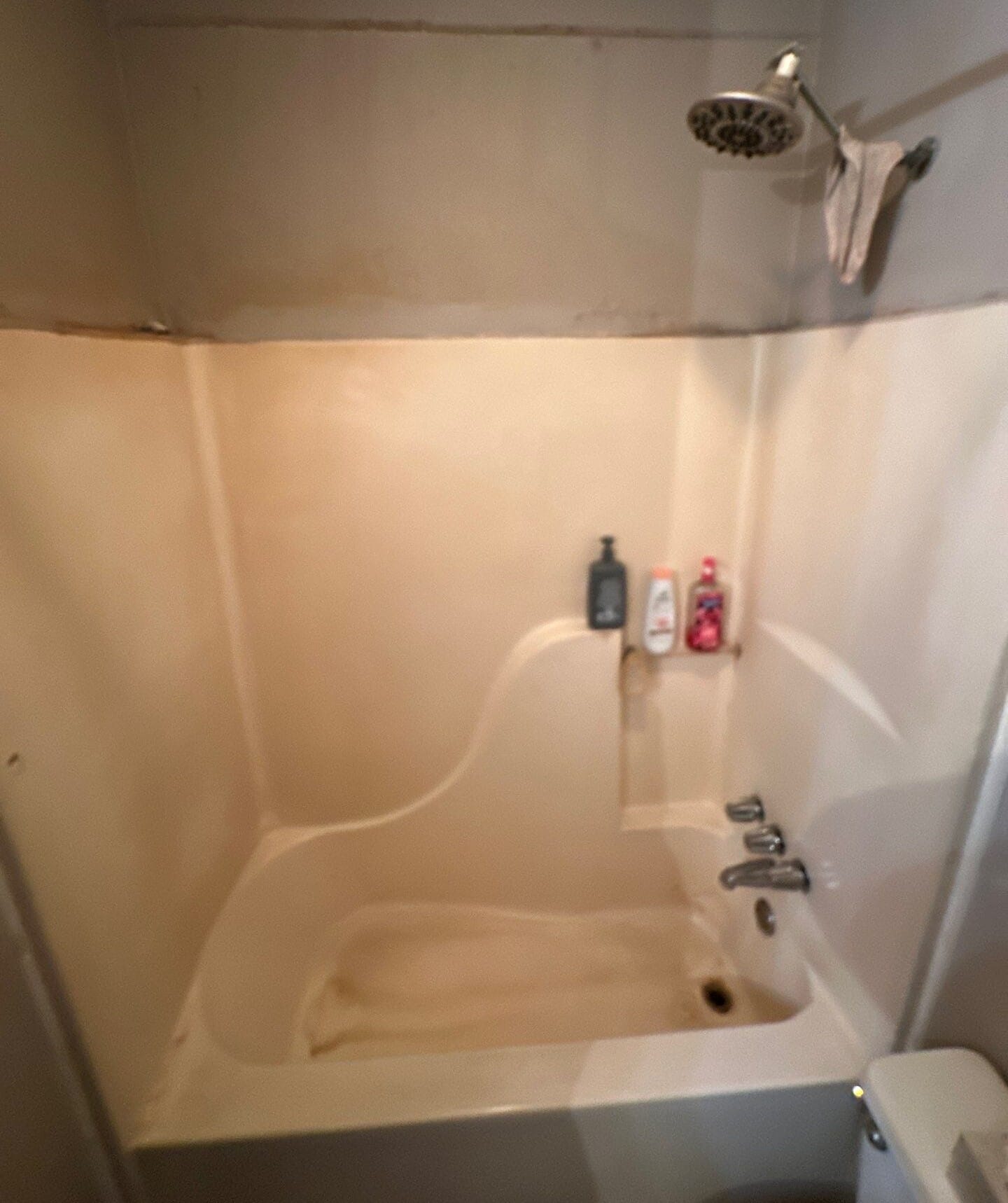 Before Bath Remodel