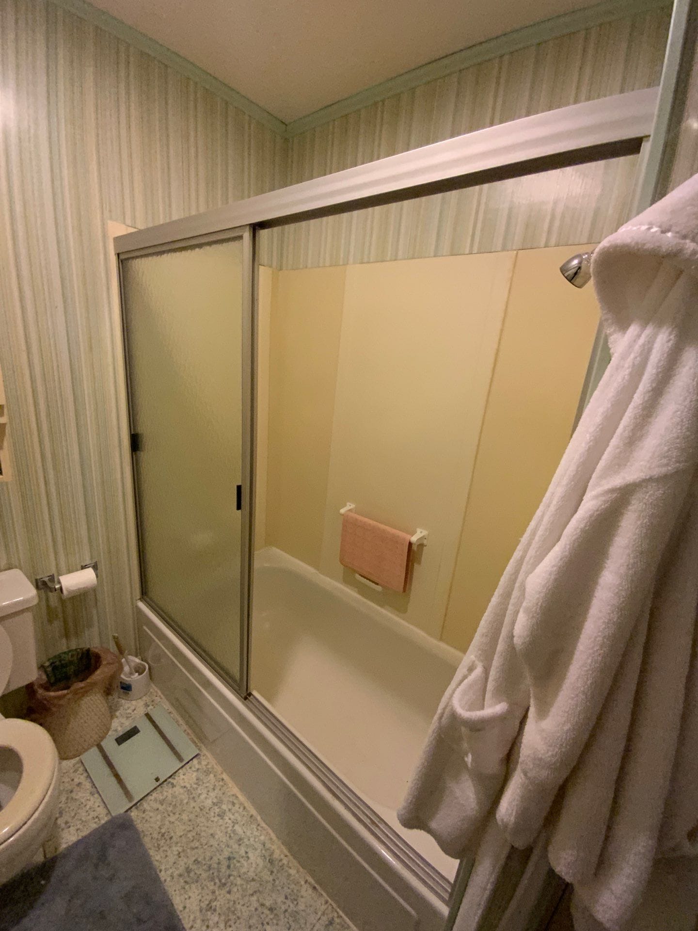 Before Bath Remodel