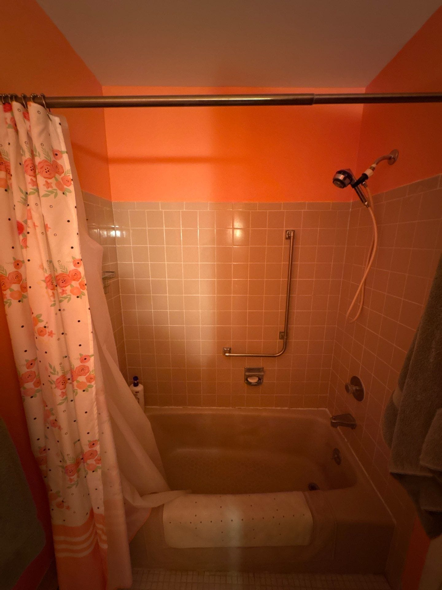 Before Bath Remodel