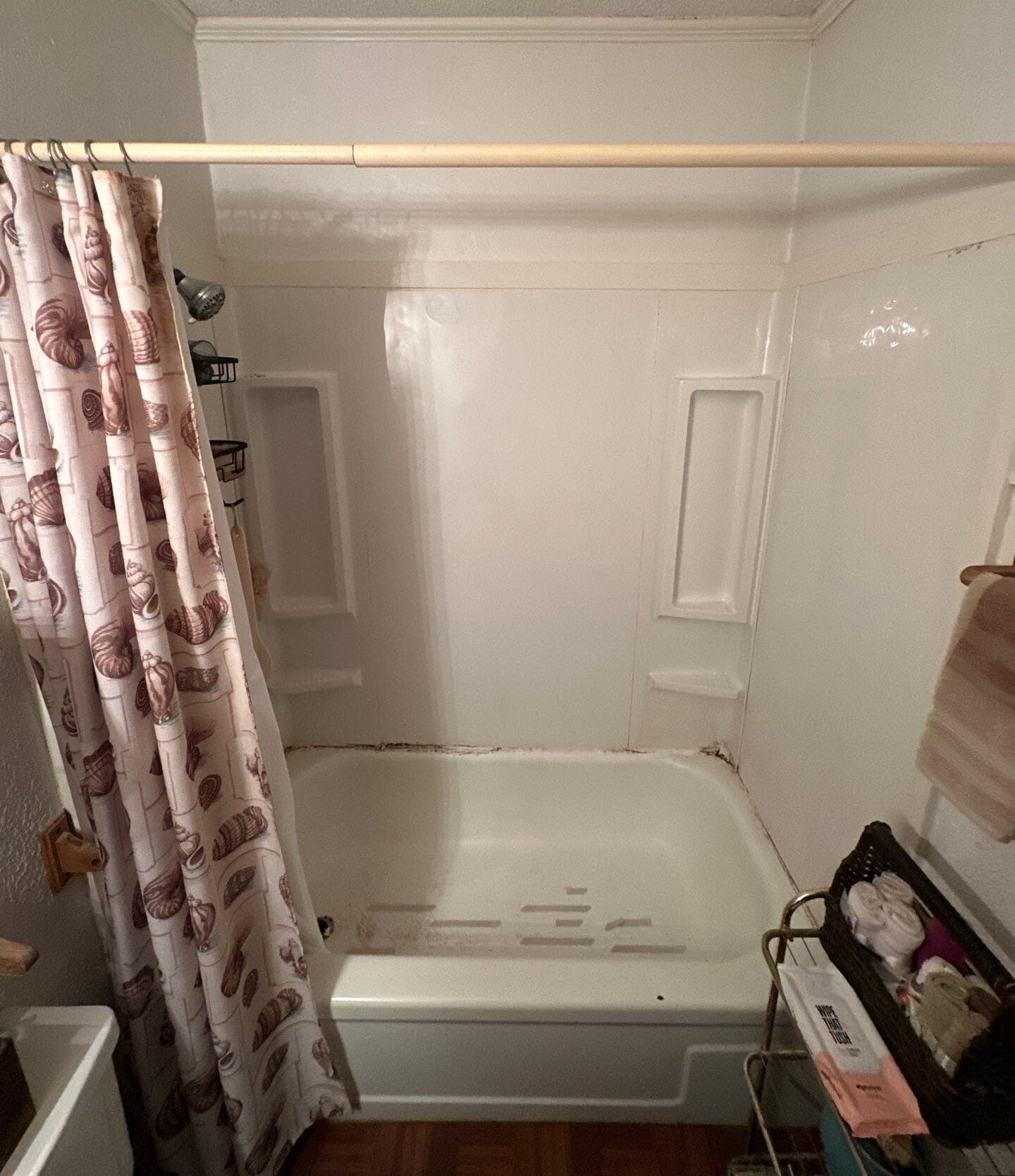 Before Bath Remodel
