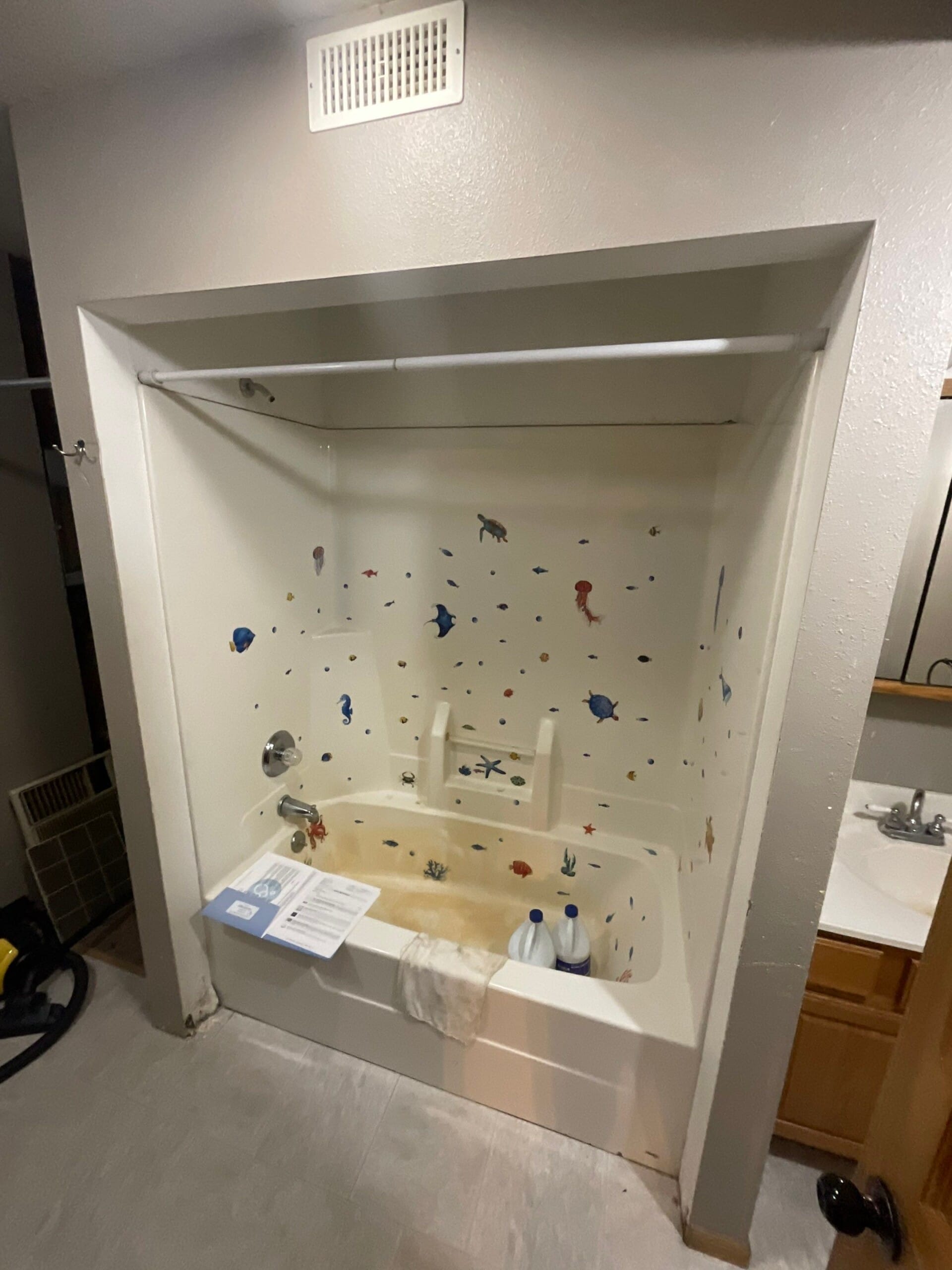 Before Bath Remodel