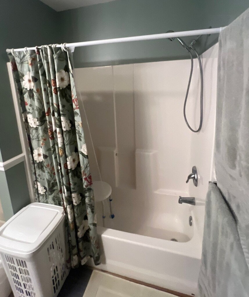 Before - Tub To Shower Conversion, Carriage Dr, Fairview, NC 28730