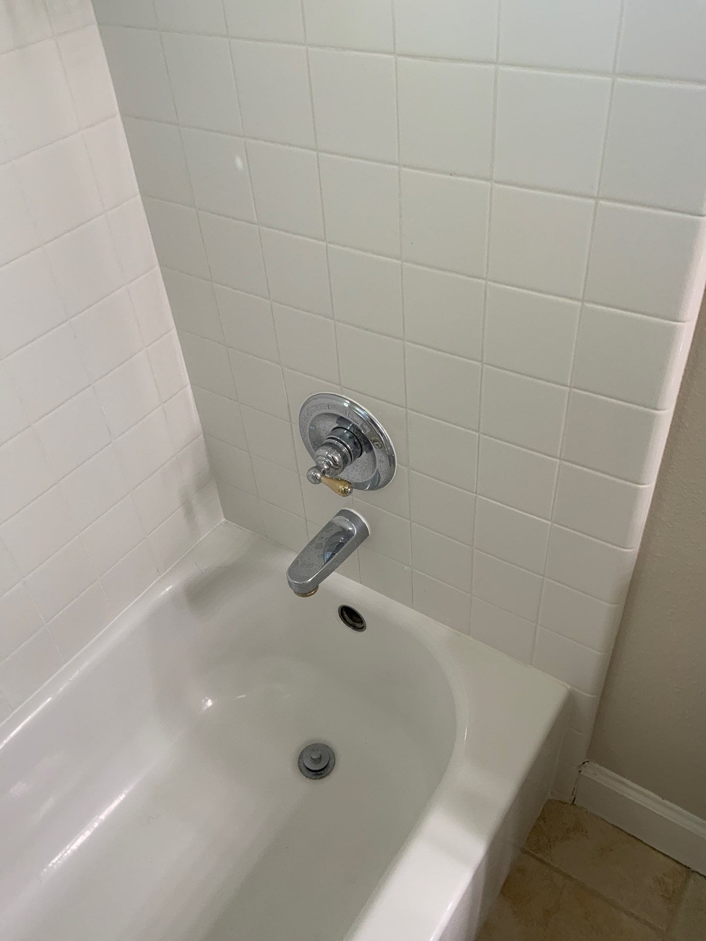 Before Bath Remodel