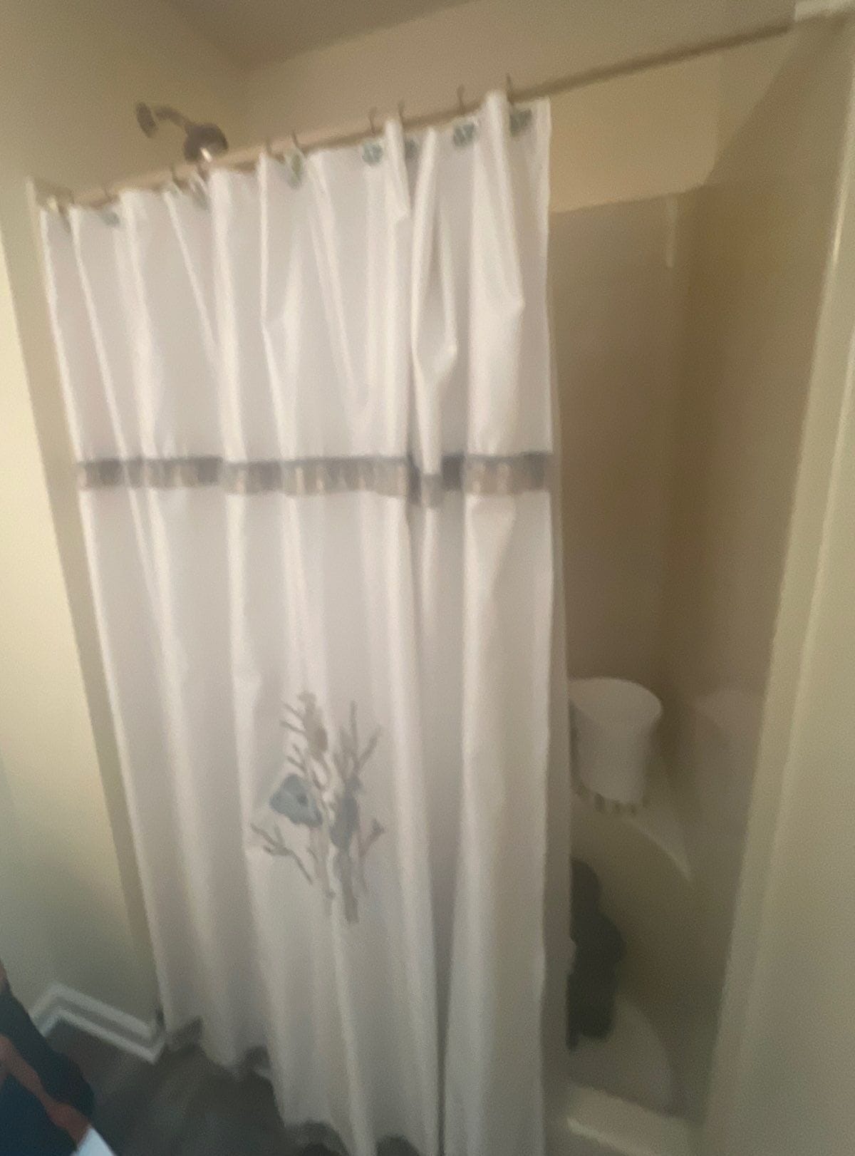 Before Bath Remodel