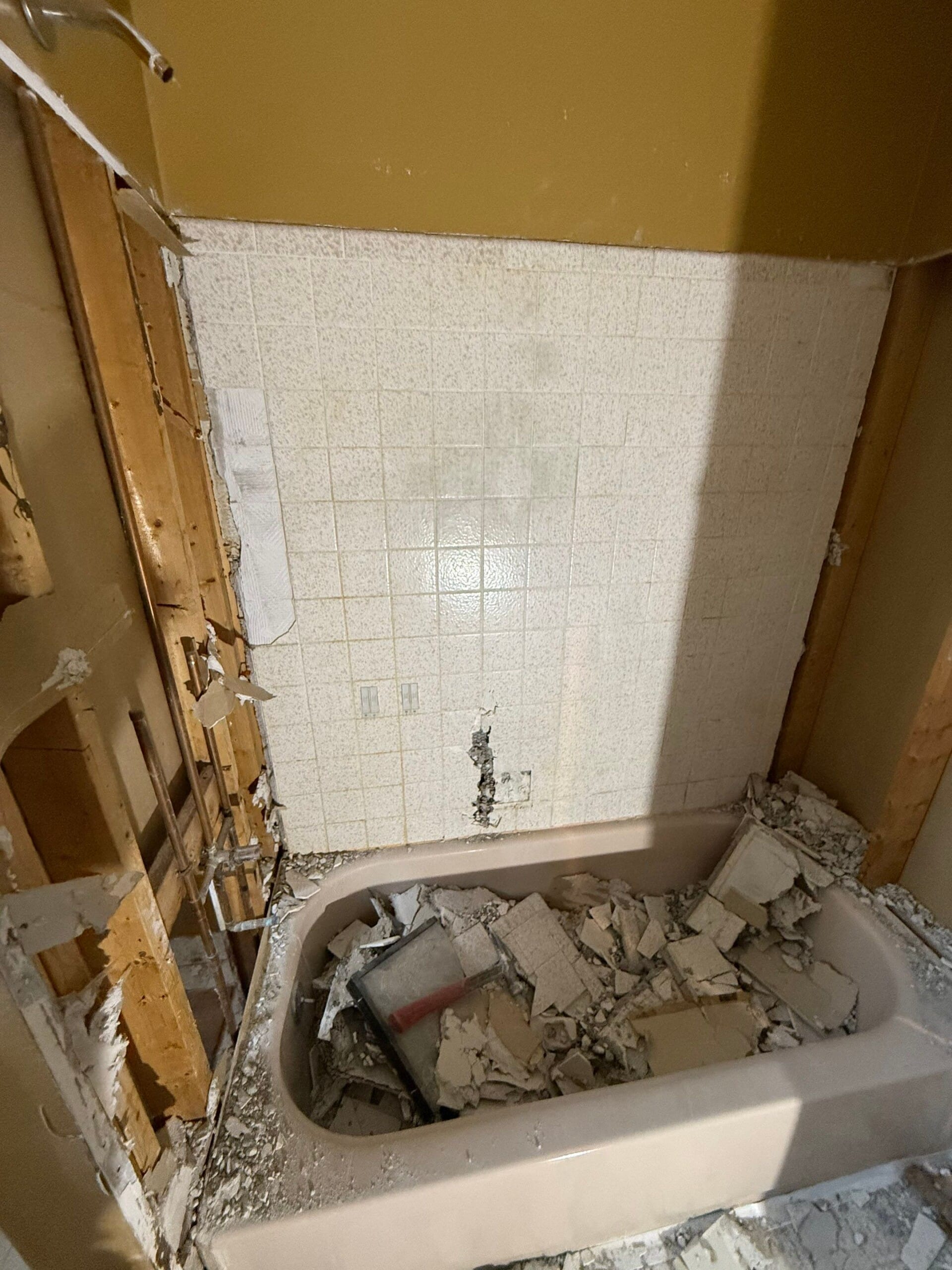 Before Bath Remodel