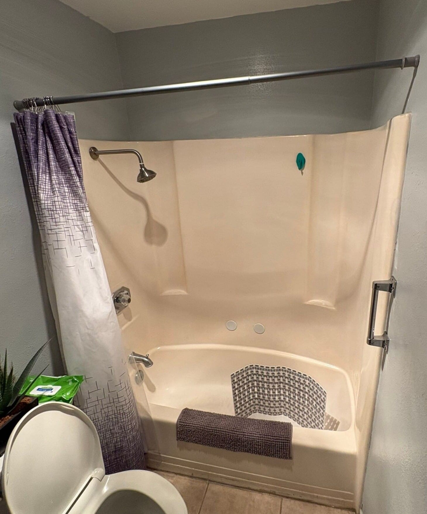 Before Bath Remodel