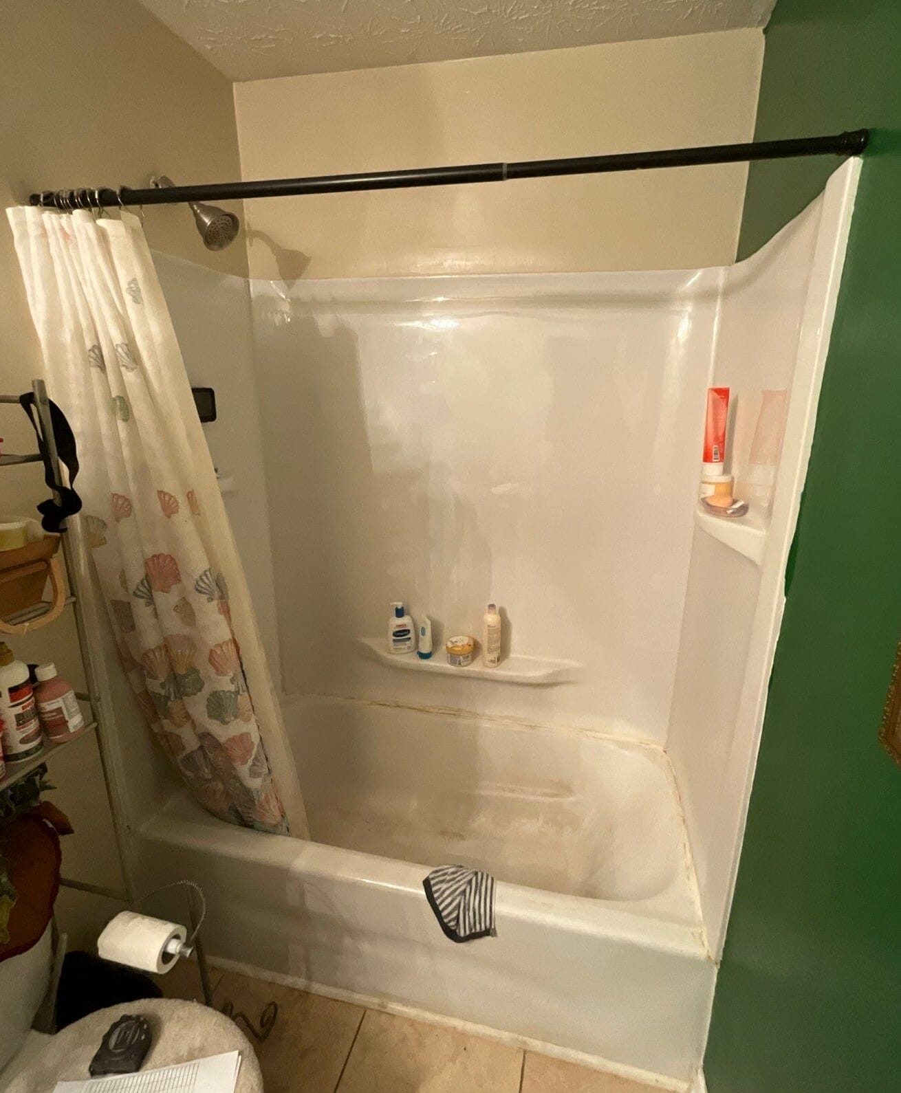 Before Bath Remodel