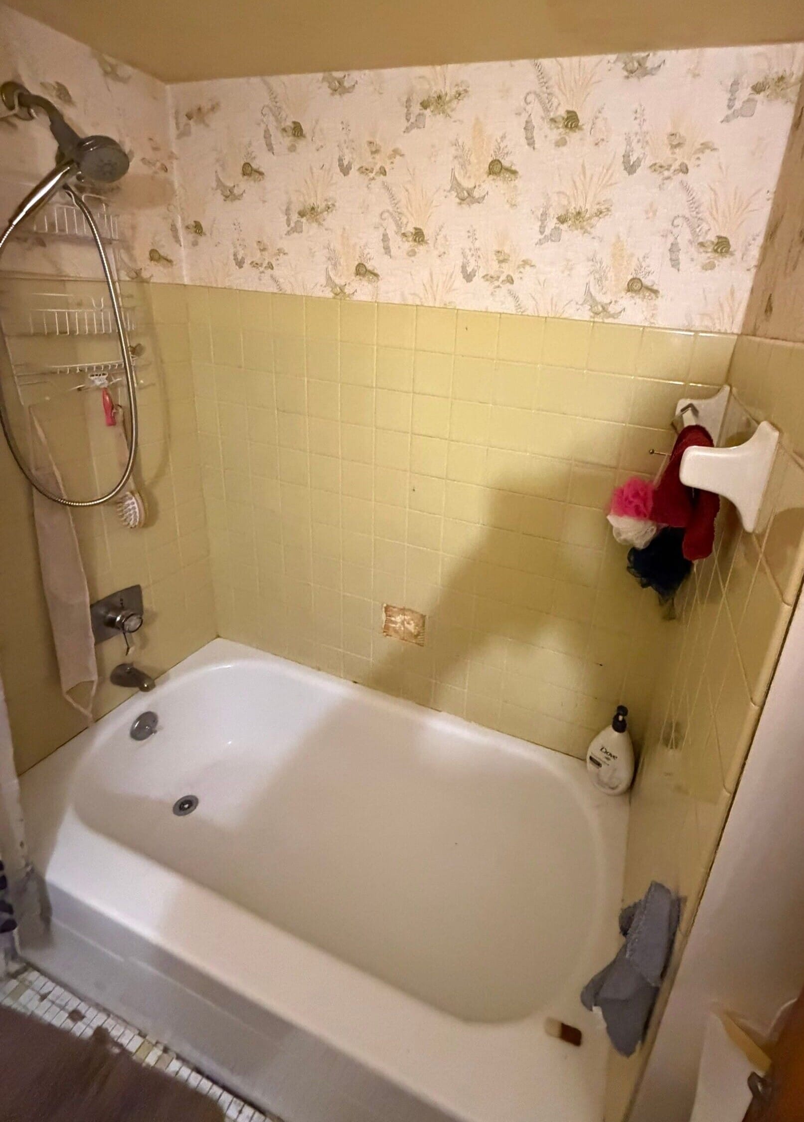 Before Bath Remodel