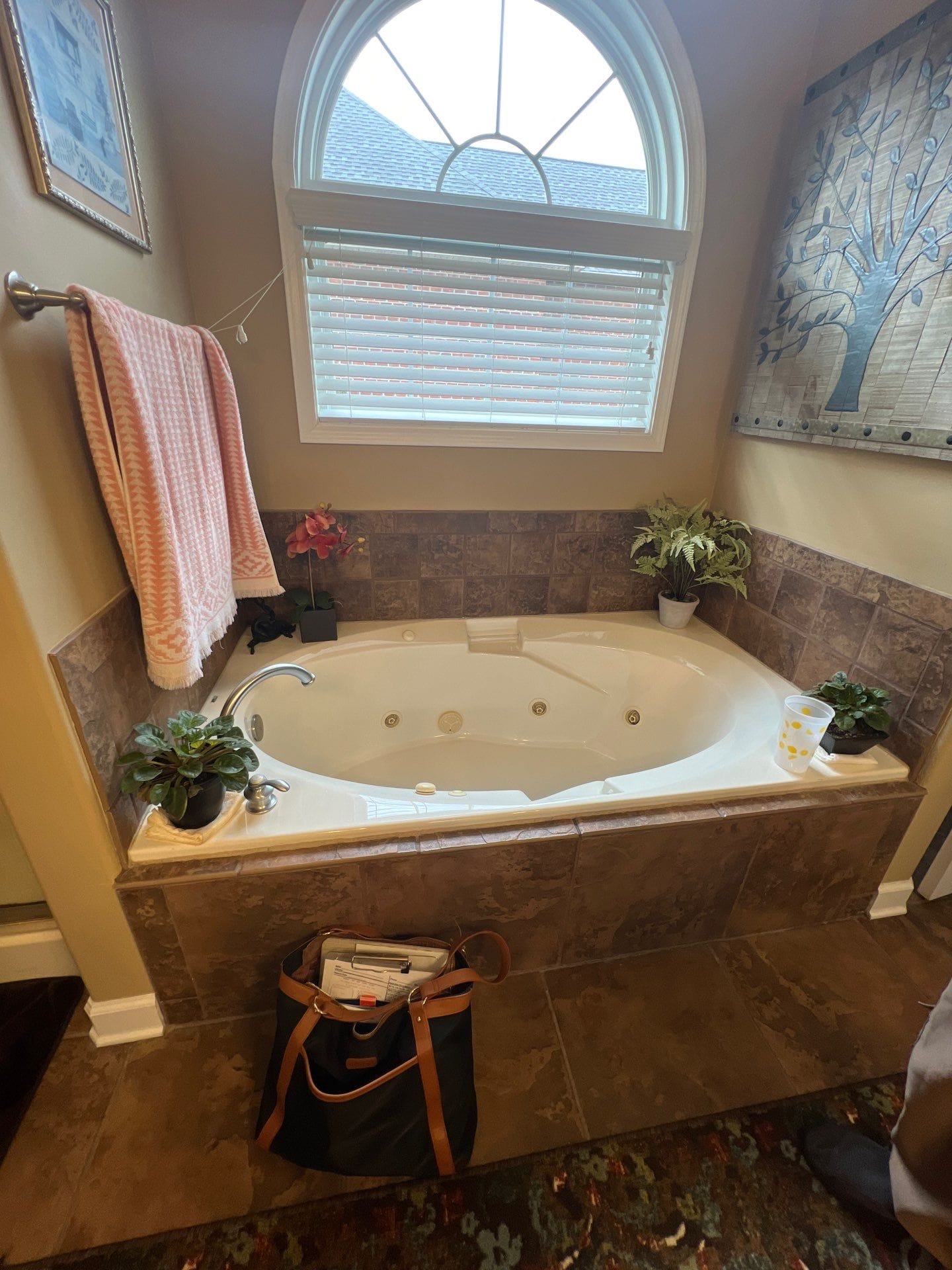 Before Bath Remodel