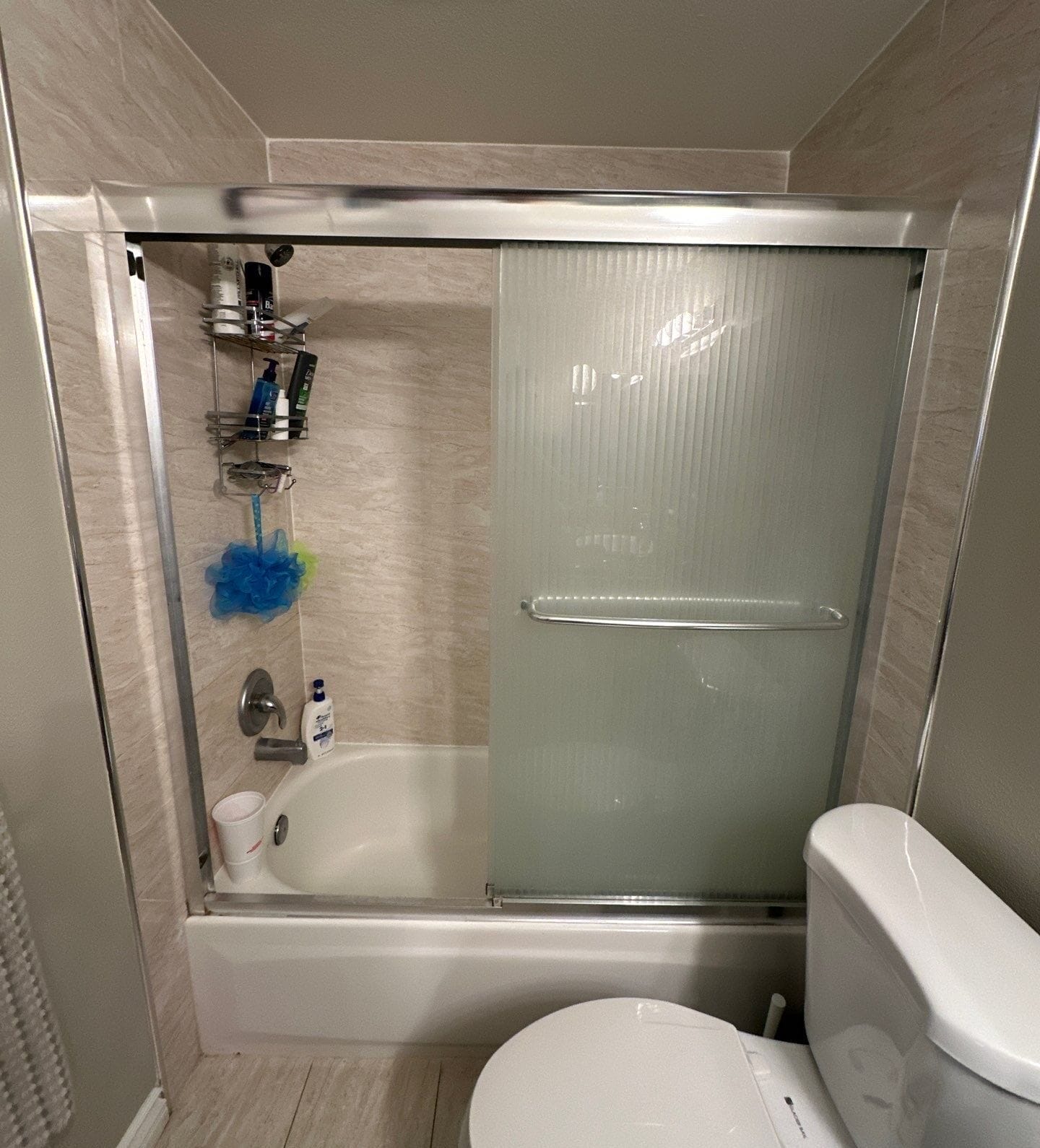Before Bath Remodel