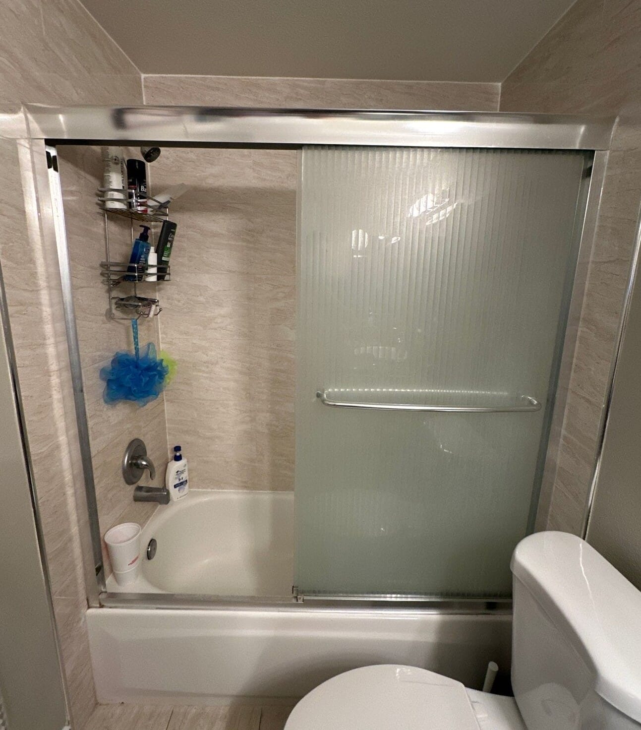 Before Bath Remodel