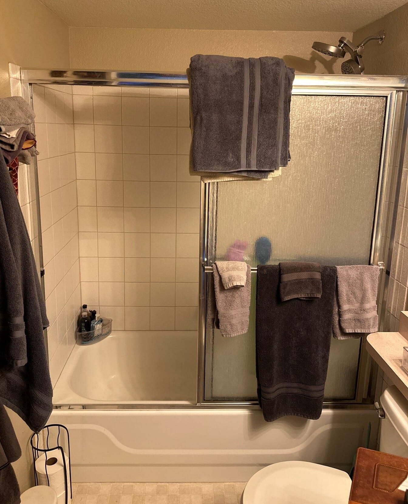 Before Bath Remodel