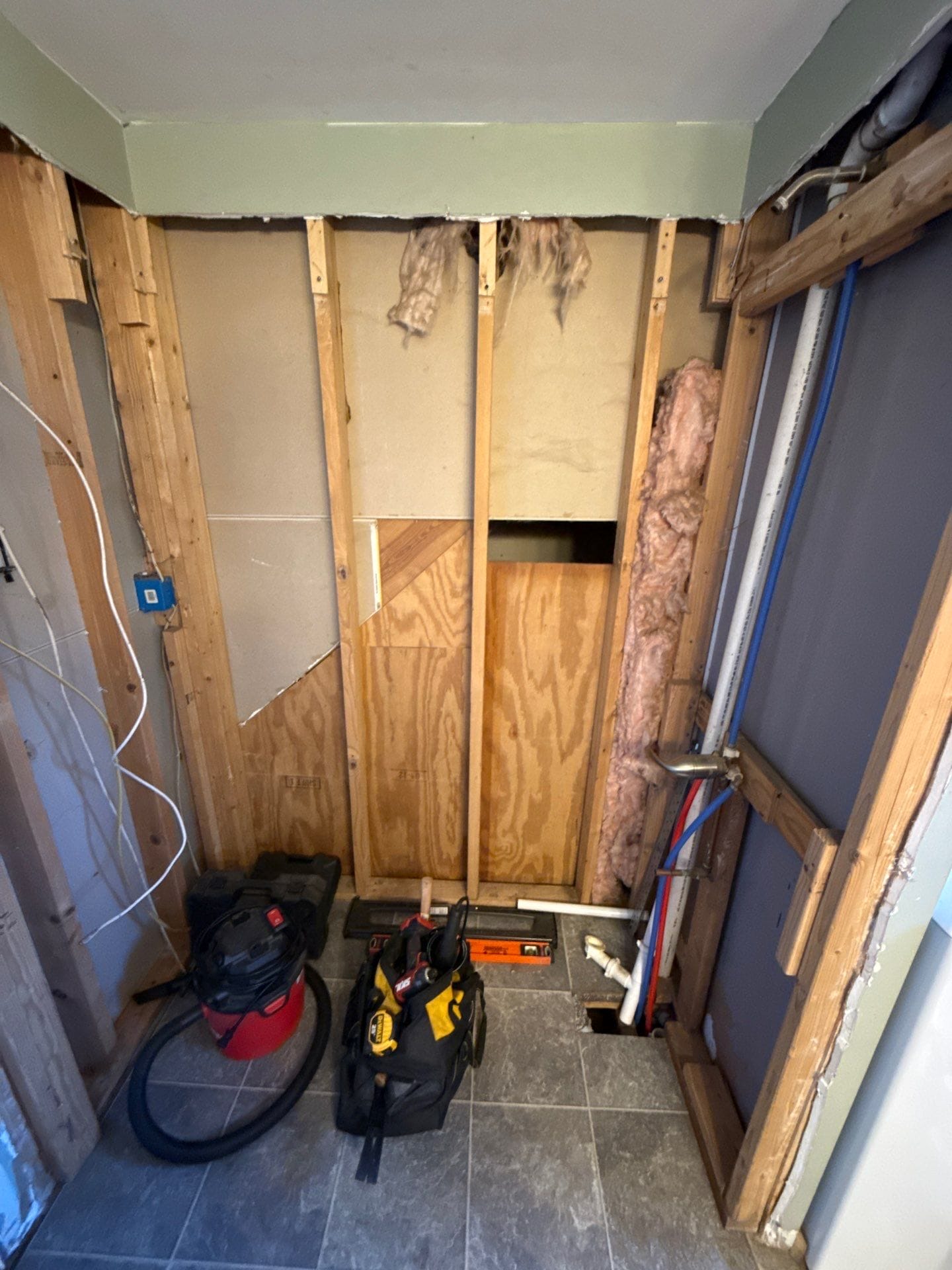Before Bath Remodel