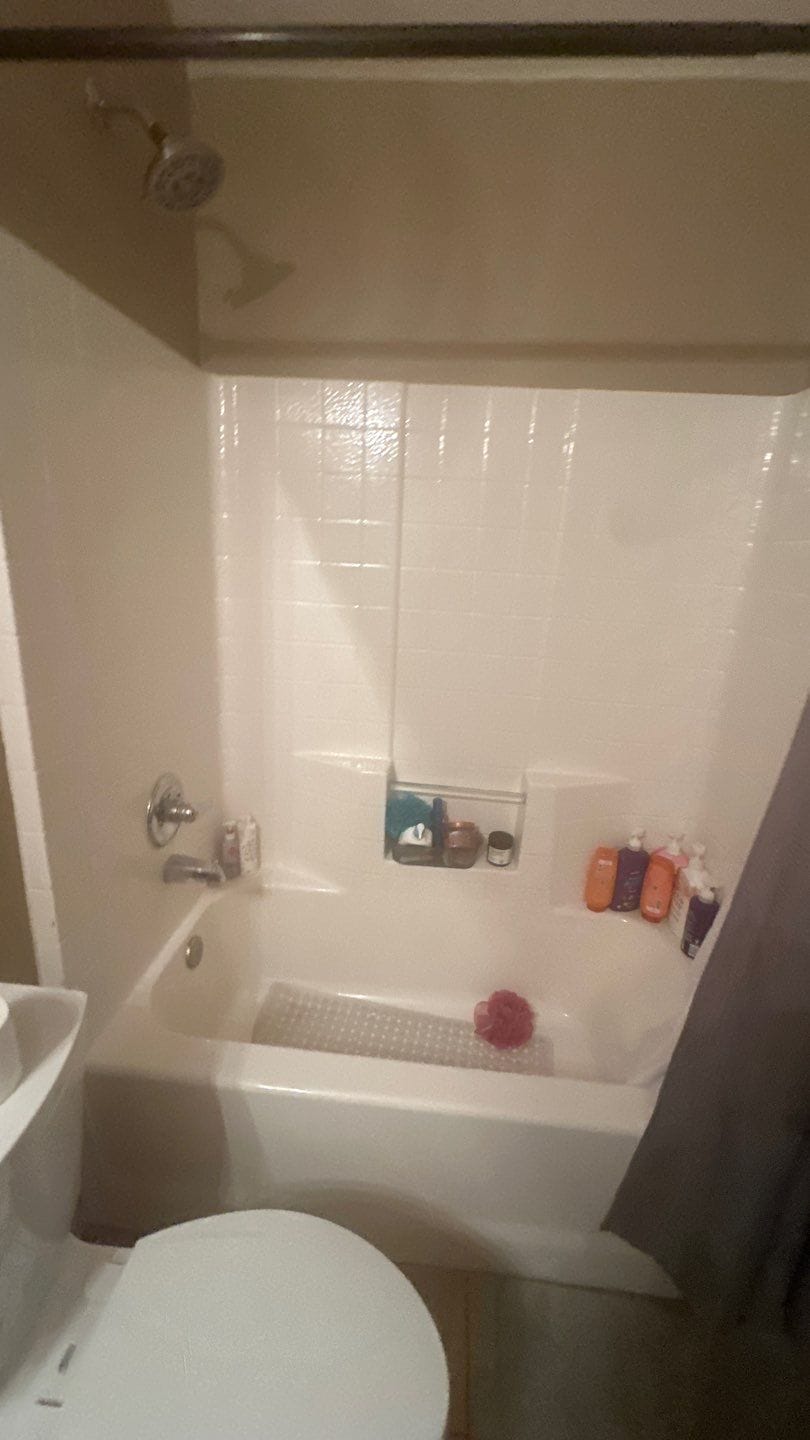 Before Bath Remodel