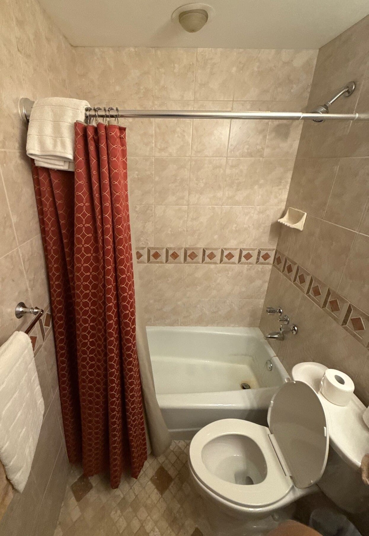 Before Bath Remodel
