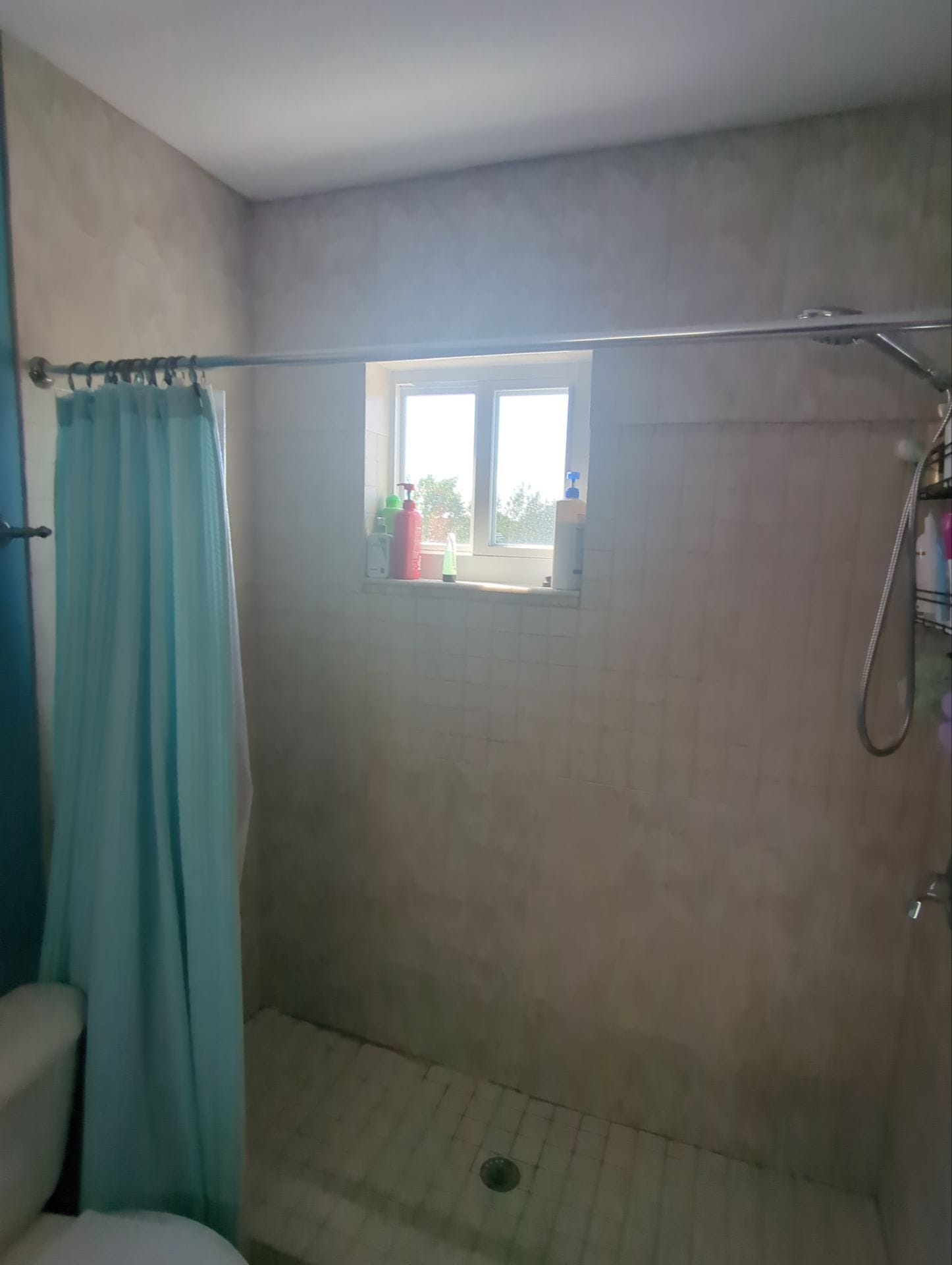 Before Bath Remodel