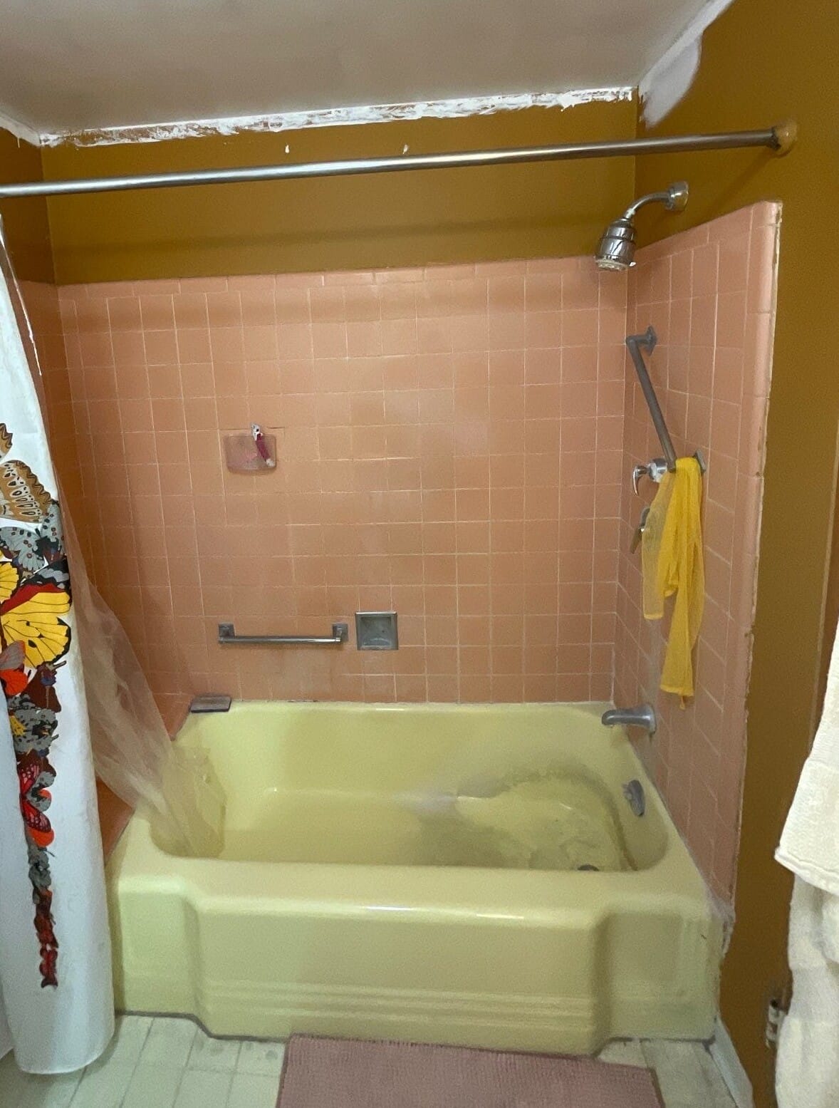 Before Bath Remodel
