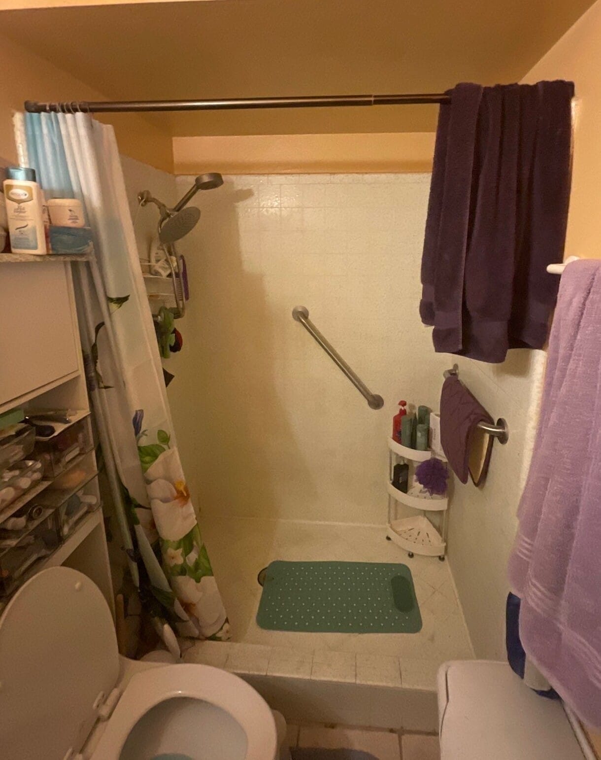 Before Bath Remodel