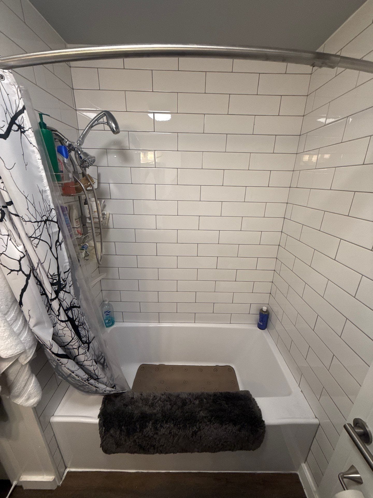 Before Bath Remodel