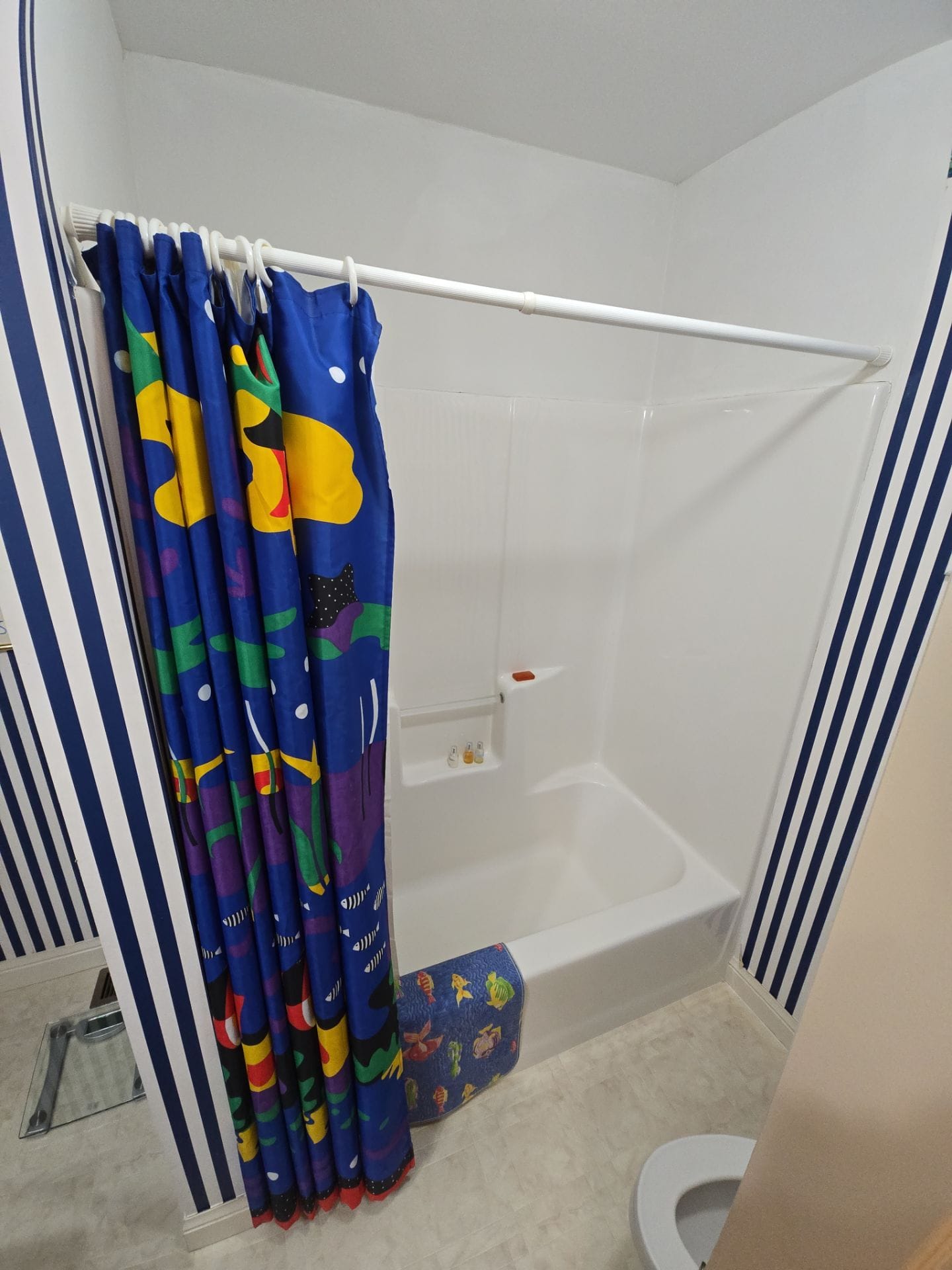 Before Bath Remodel