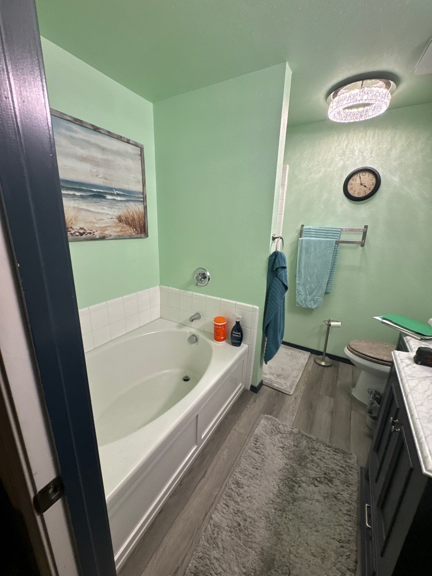 Before Bath Remodel
